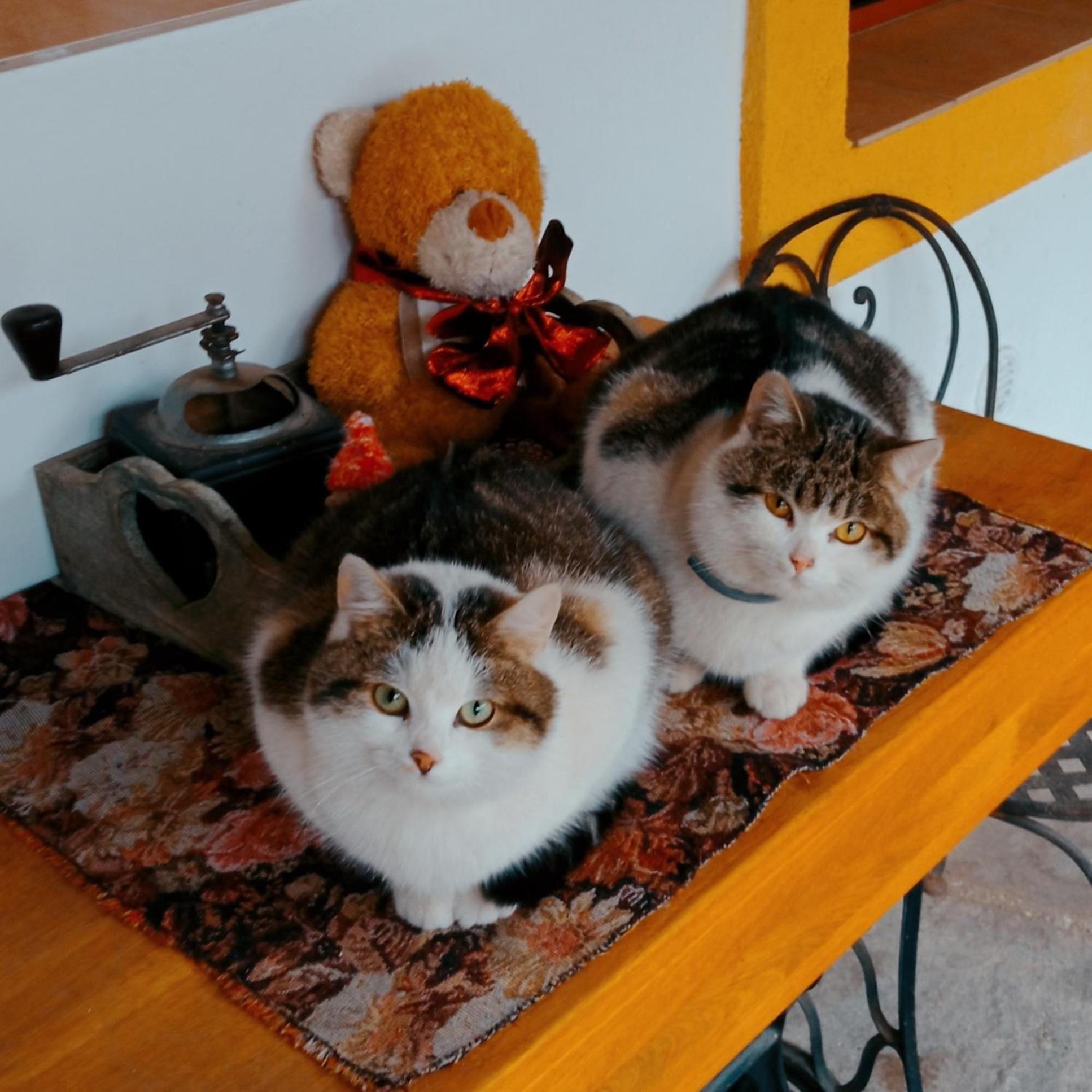 Photo 22