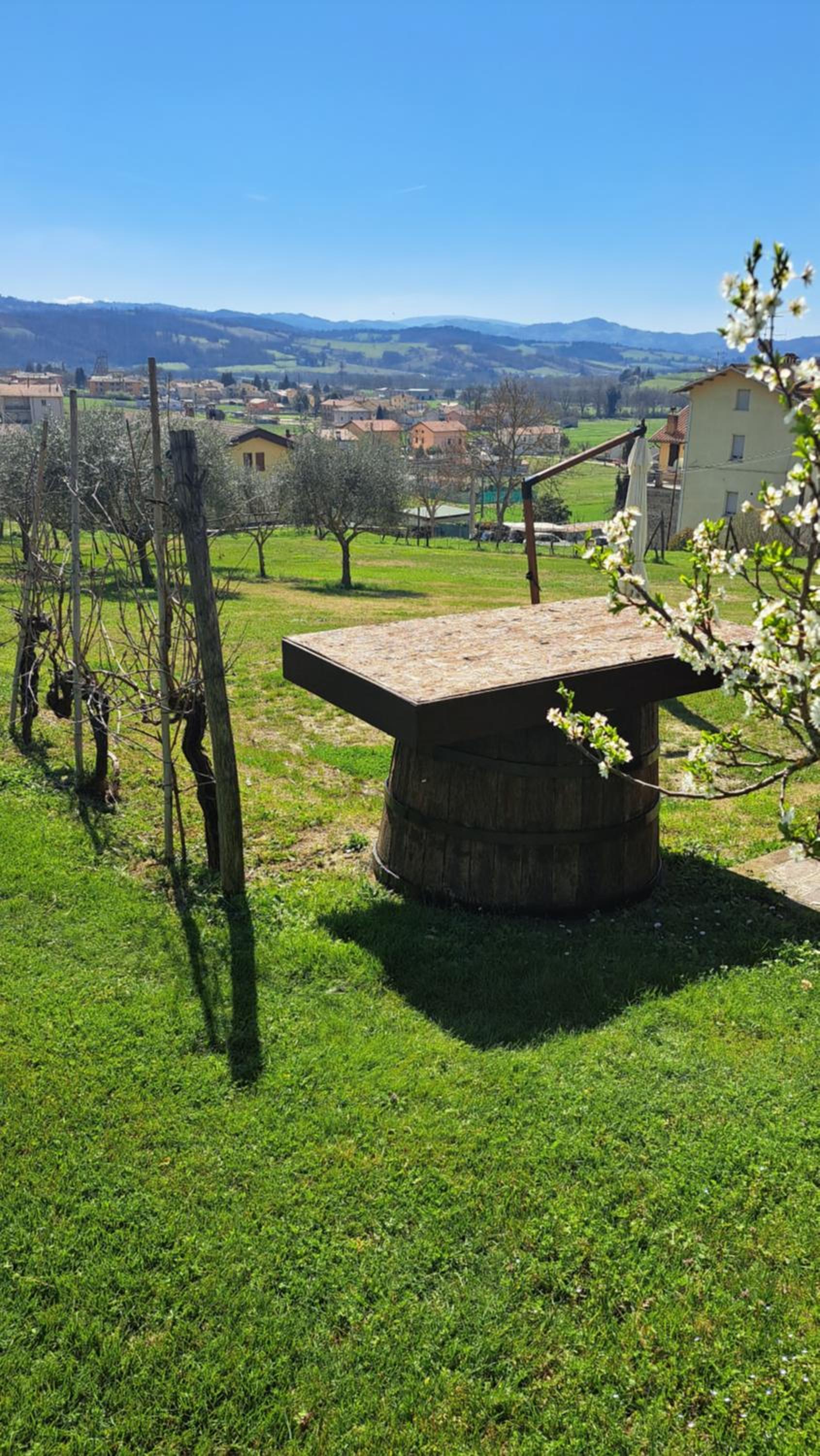 casa vacanze Rita view 4