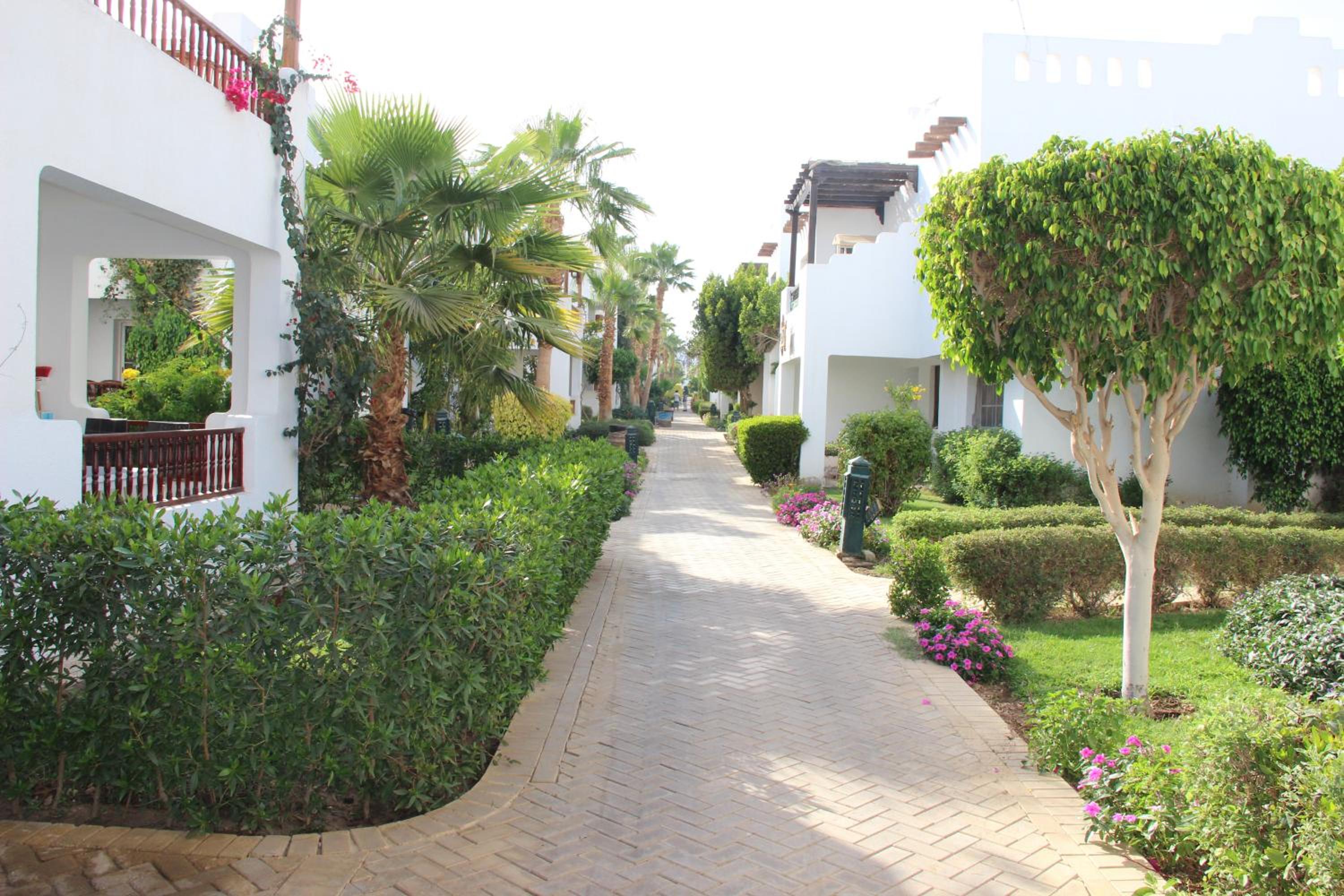 Delta Sharm Best Vacation