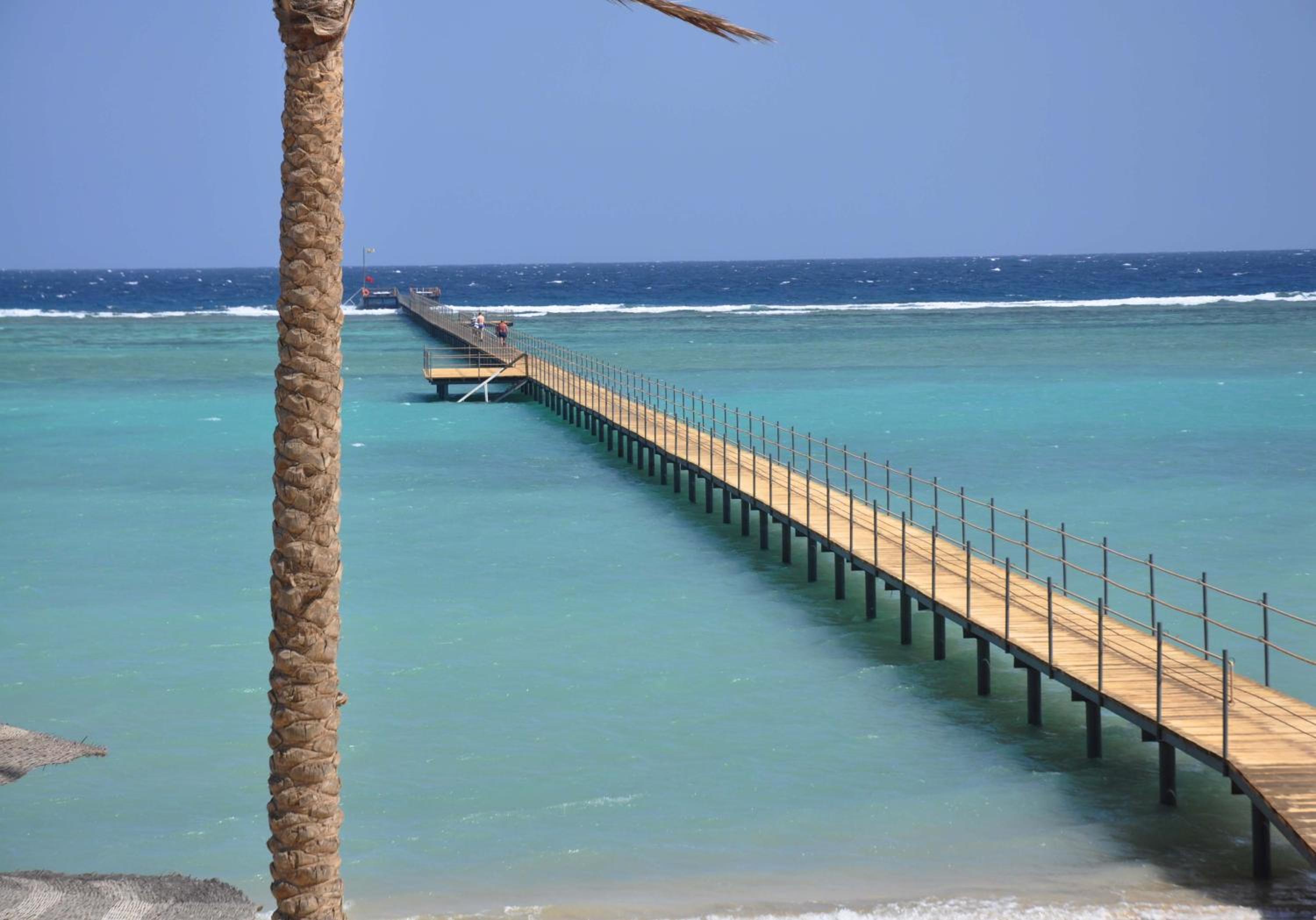 Blend Elphistone Resort Marsa Alam — photo 38
