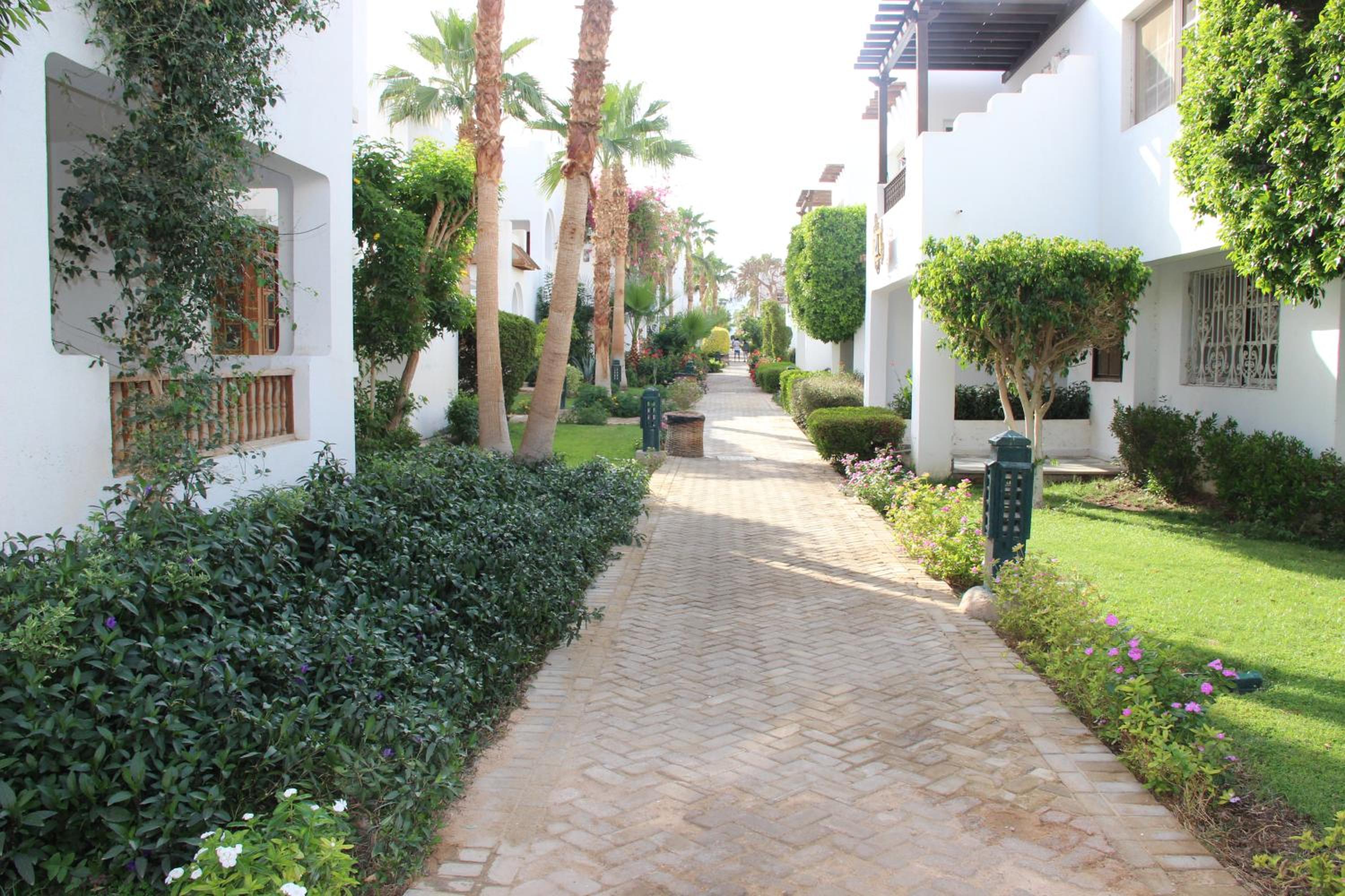 Delta Sharm Best Vacation