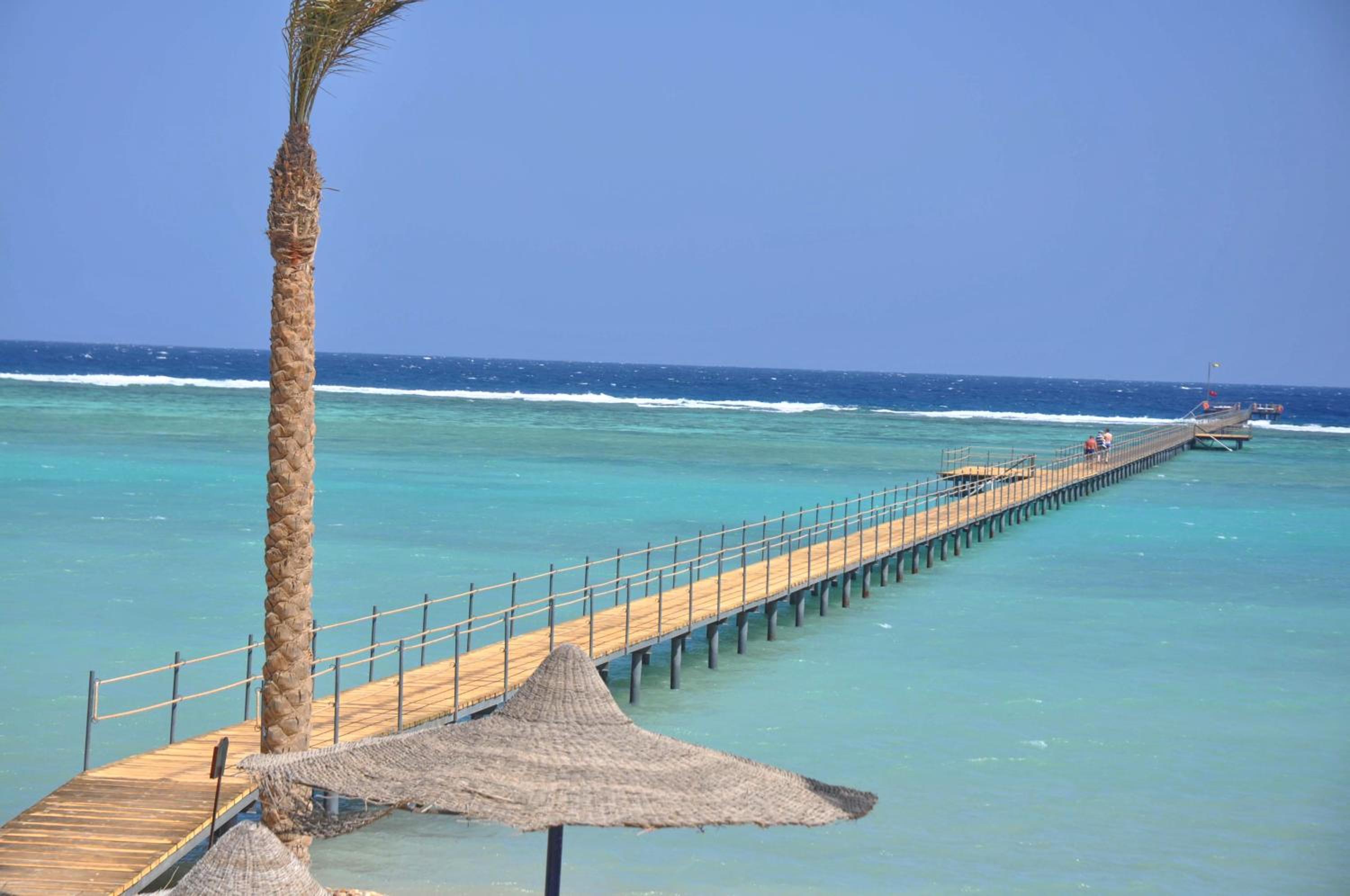 Blend Elphistone Resort Marsa Alam — photo 32
