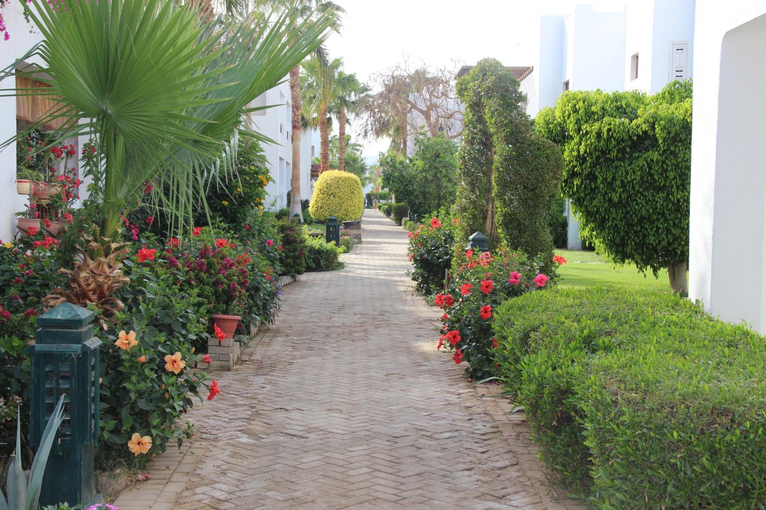 Delta Sharm Best Vacation