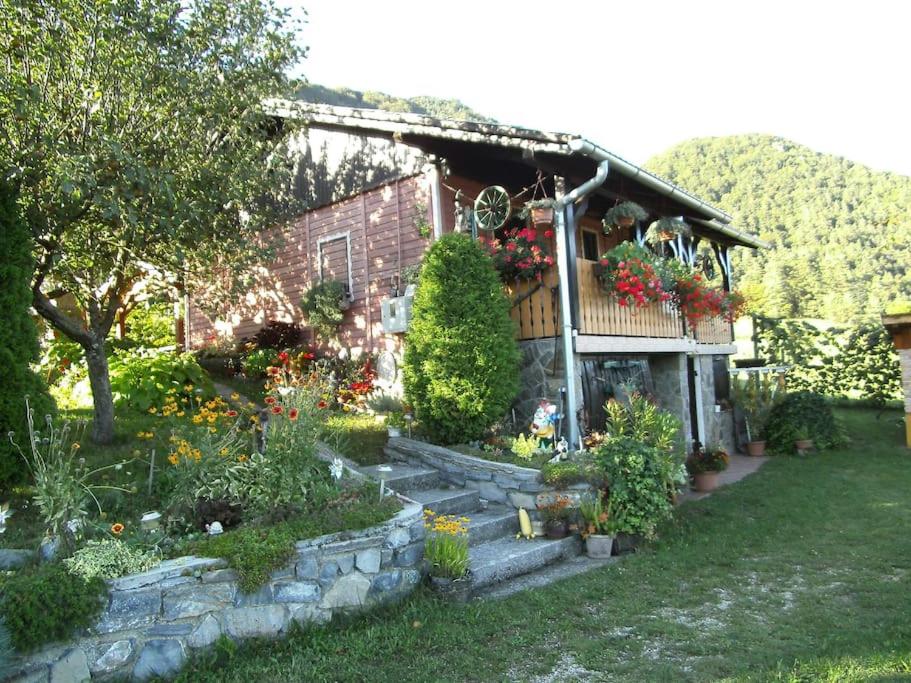 Photo 13
