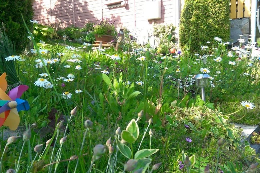 Photo 22