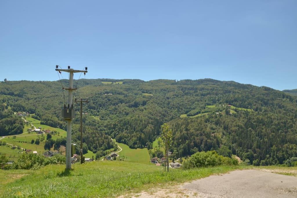 Photo 24
