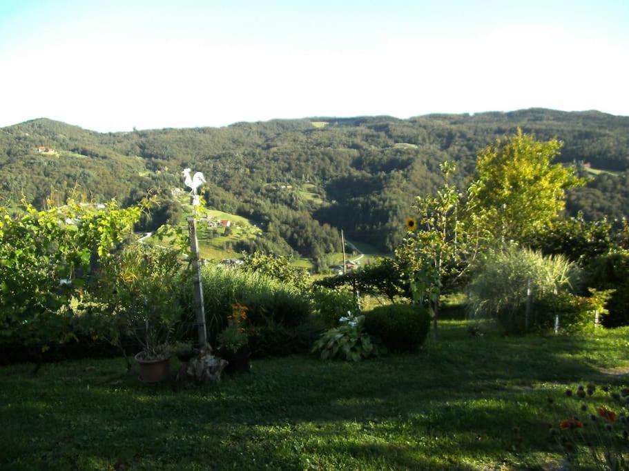 Photo 49