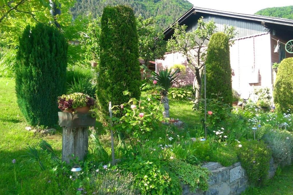 Photo 52