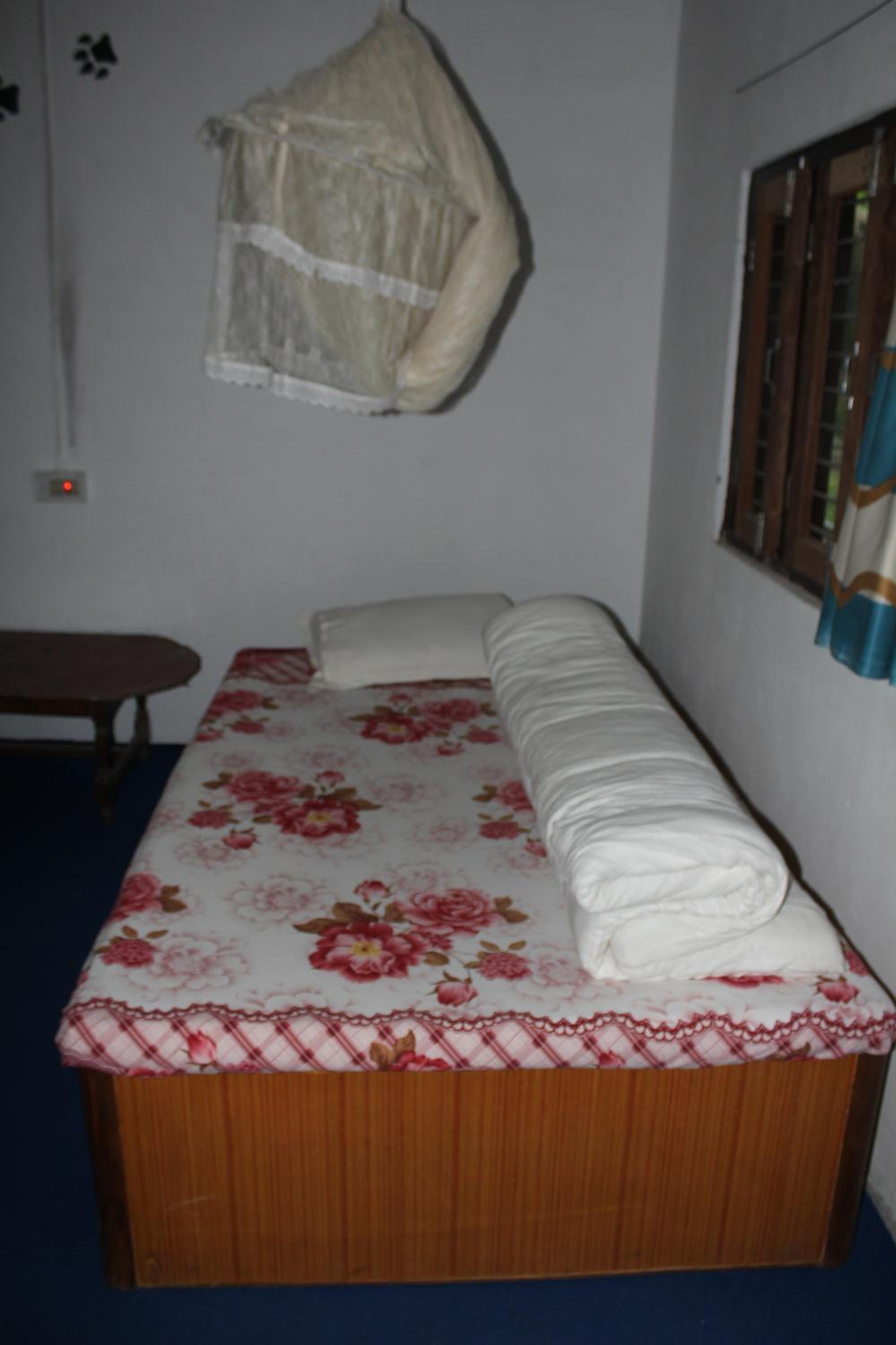 Photo 51