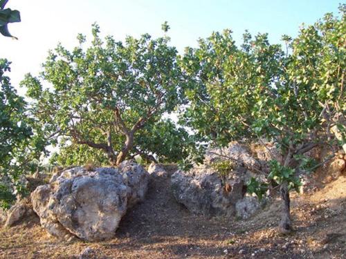 Photo 23