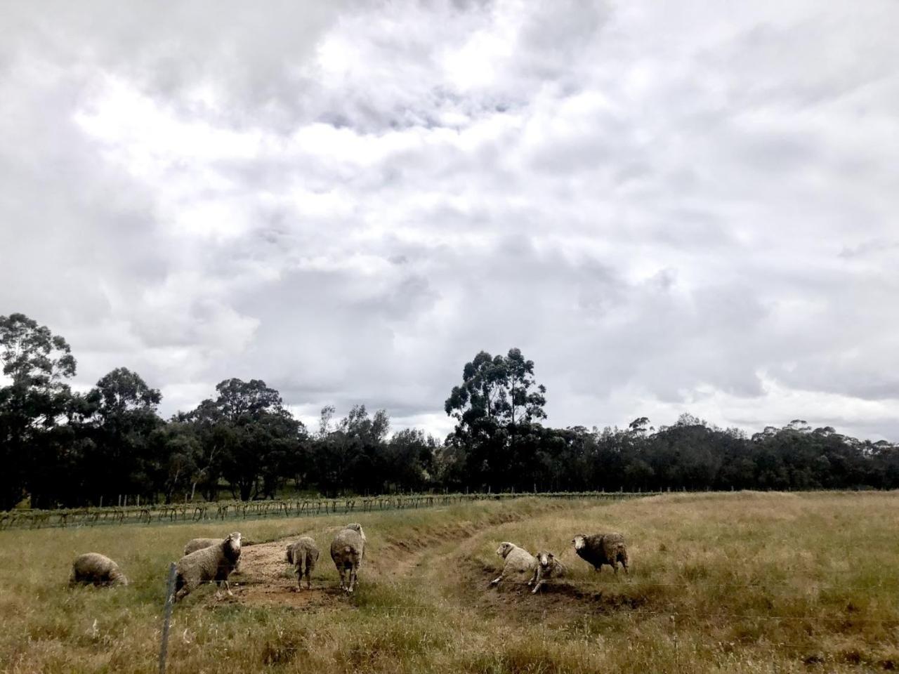 Mondurup Escape - Kendenup
