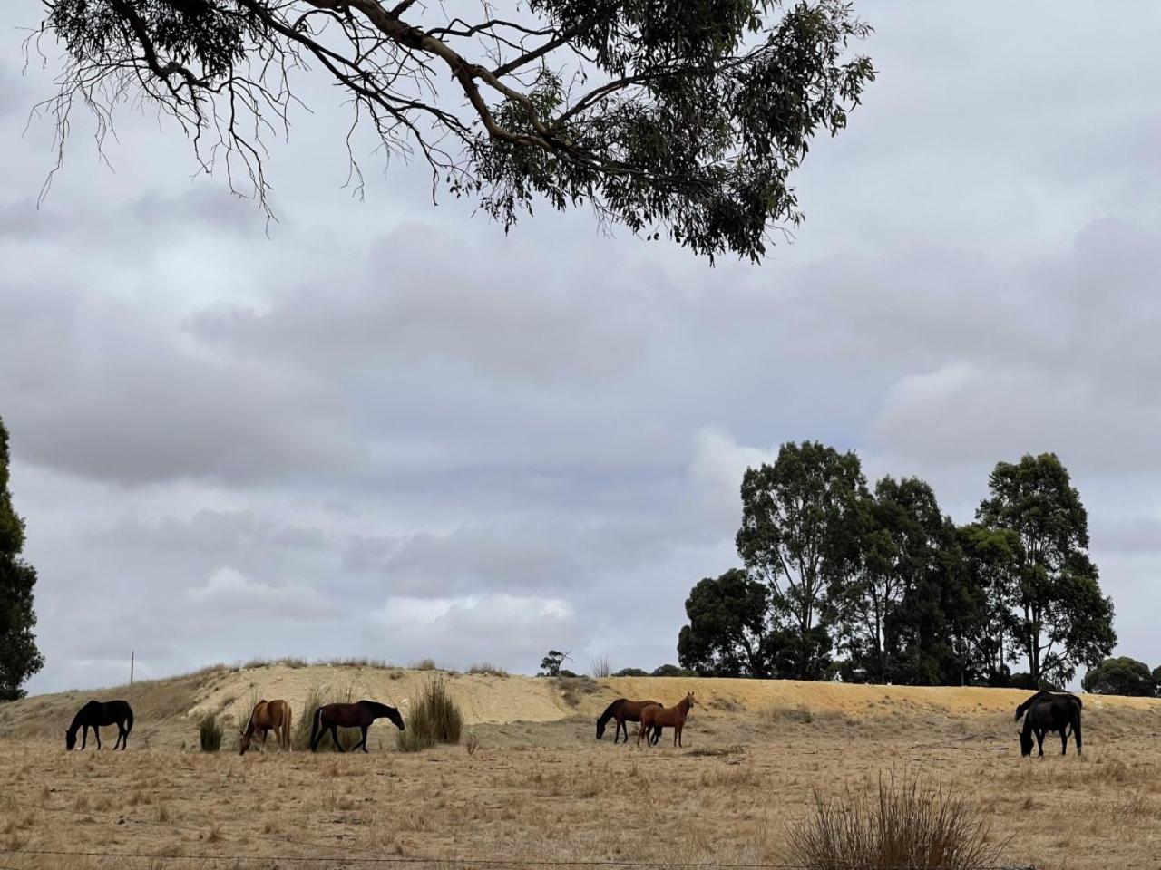 Mondurup Escape - Kendenup