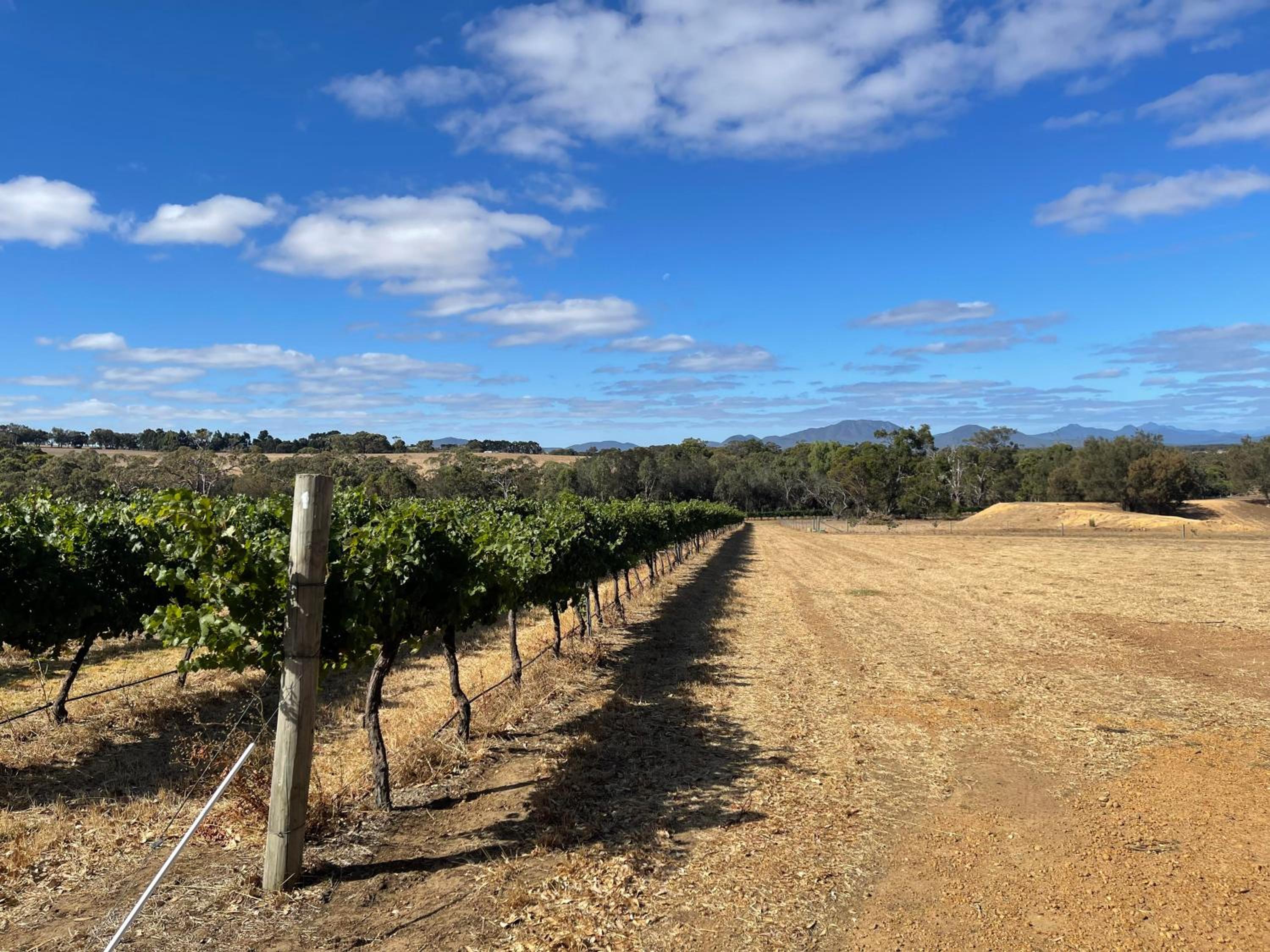 Mondurup Escape - Kendenup