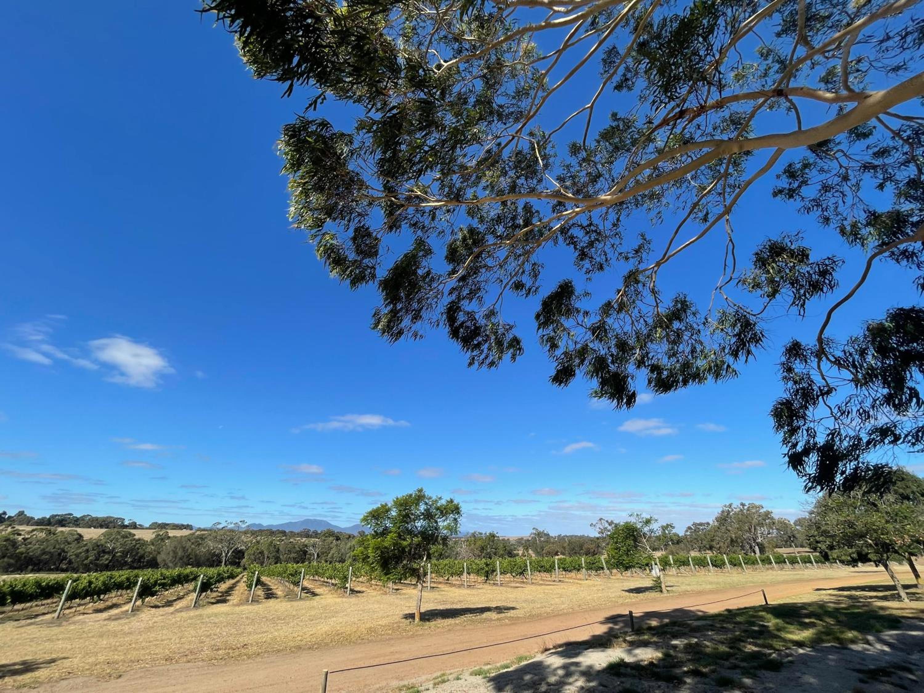 Mondurup Escape - Kendenup