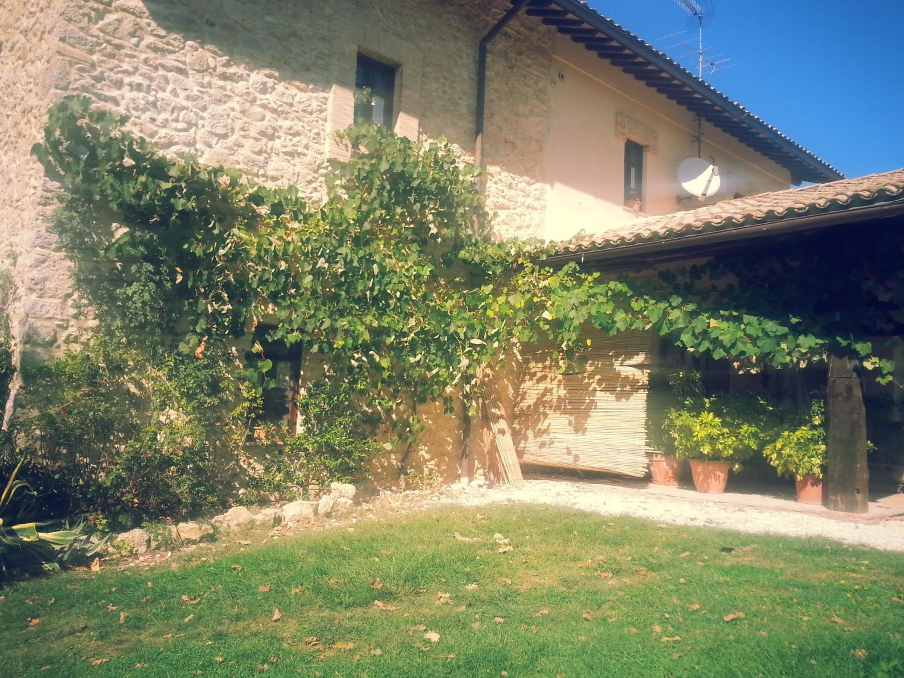 Photo 23