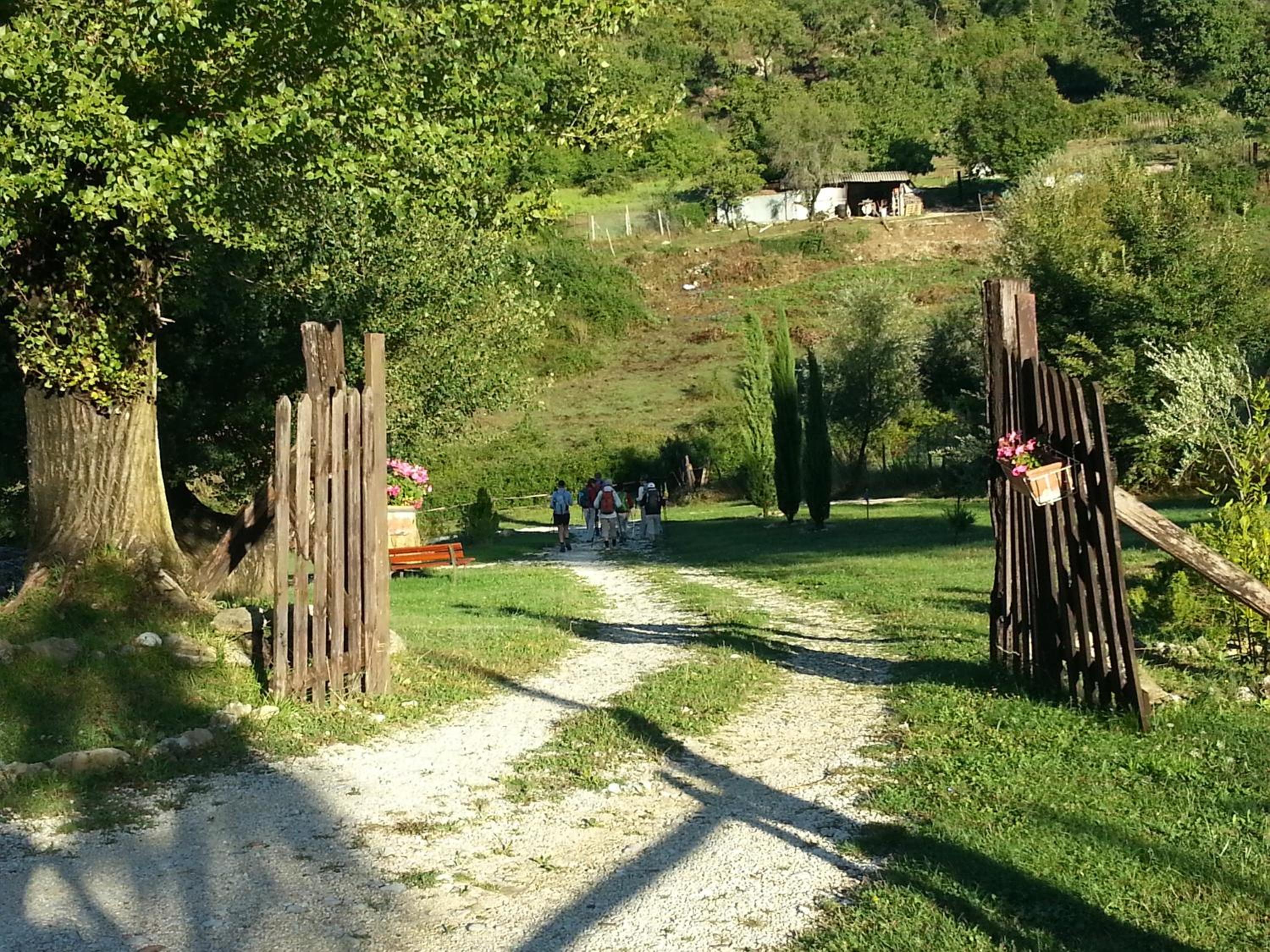 Photo 38