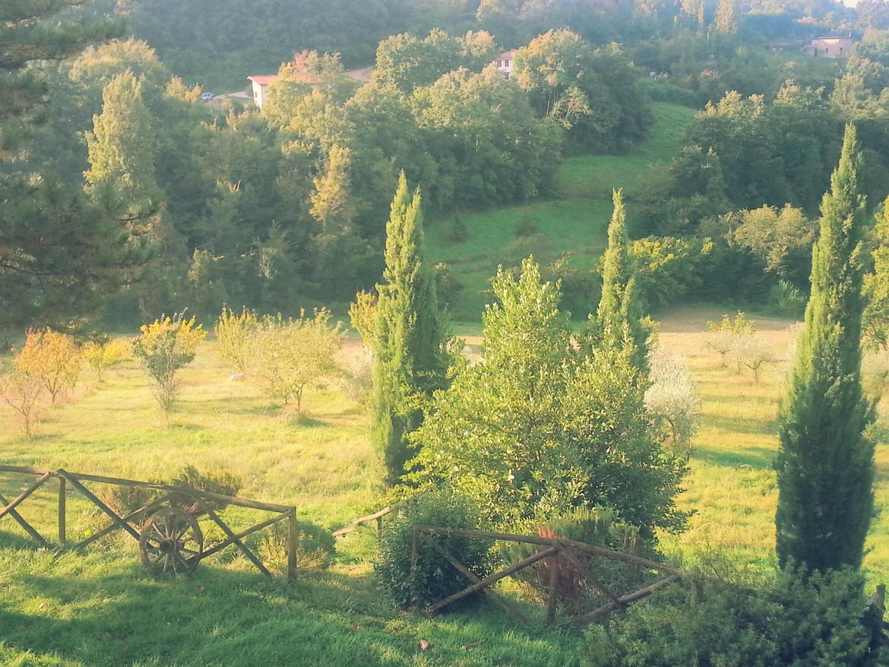 Photo 41