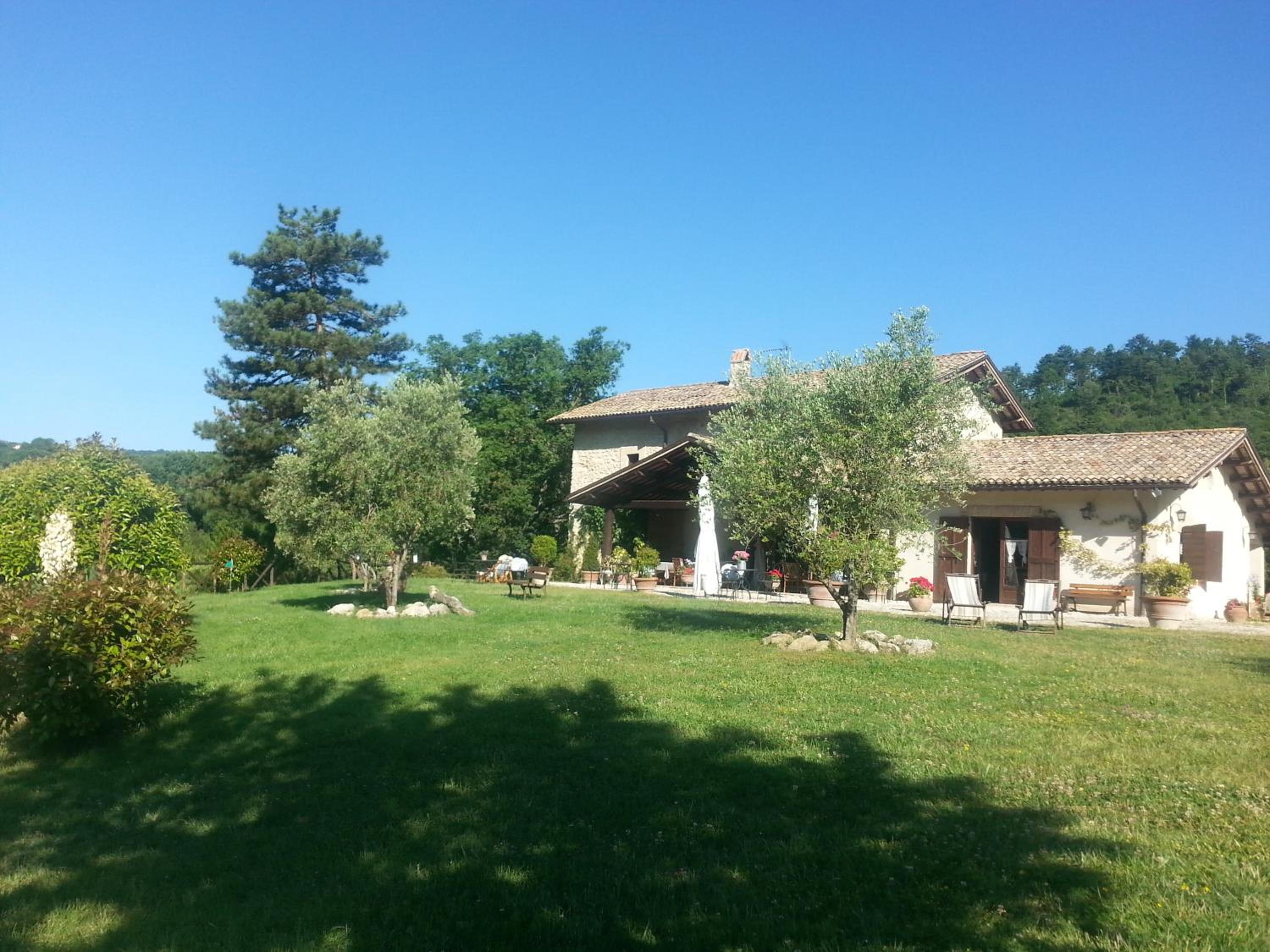 Photo 43