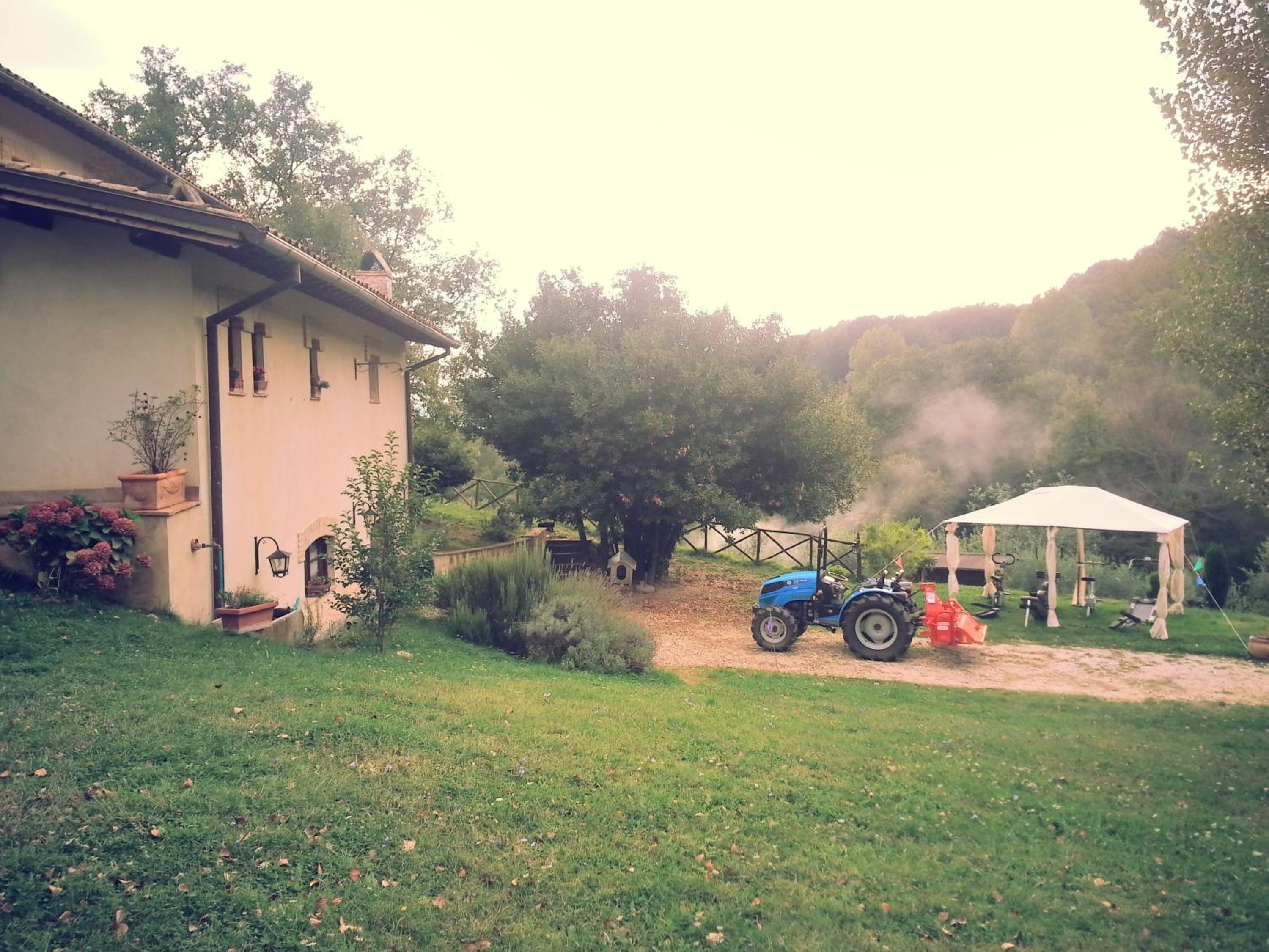 Photo 45