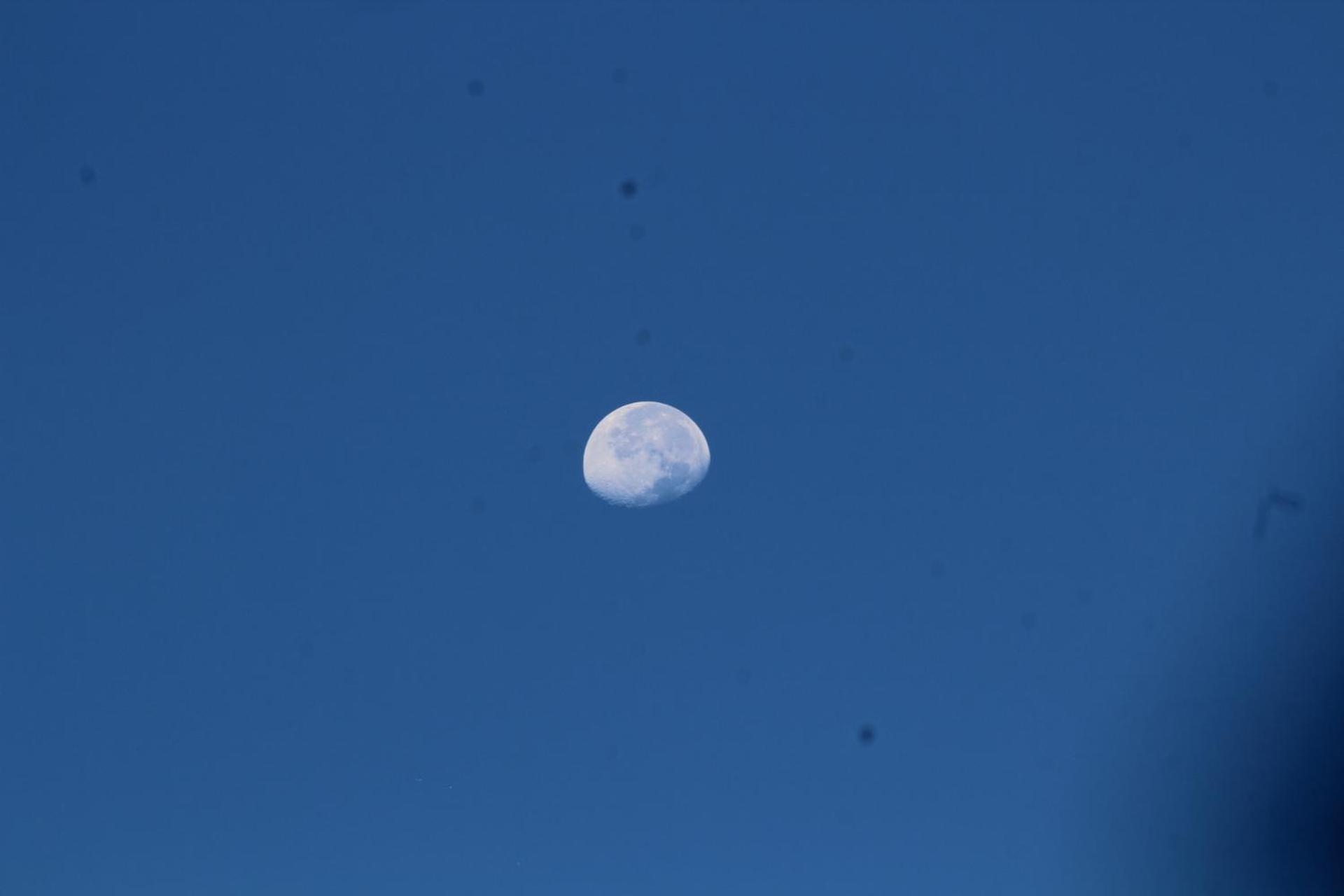 Photo 47