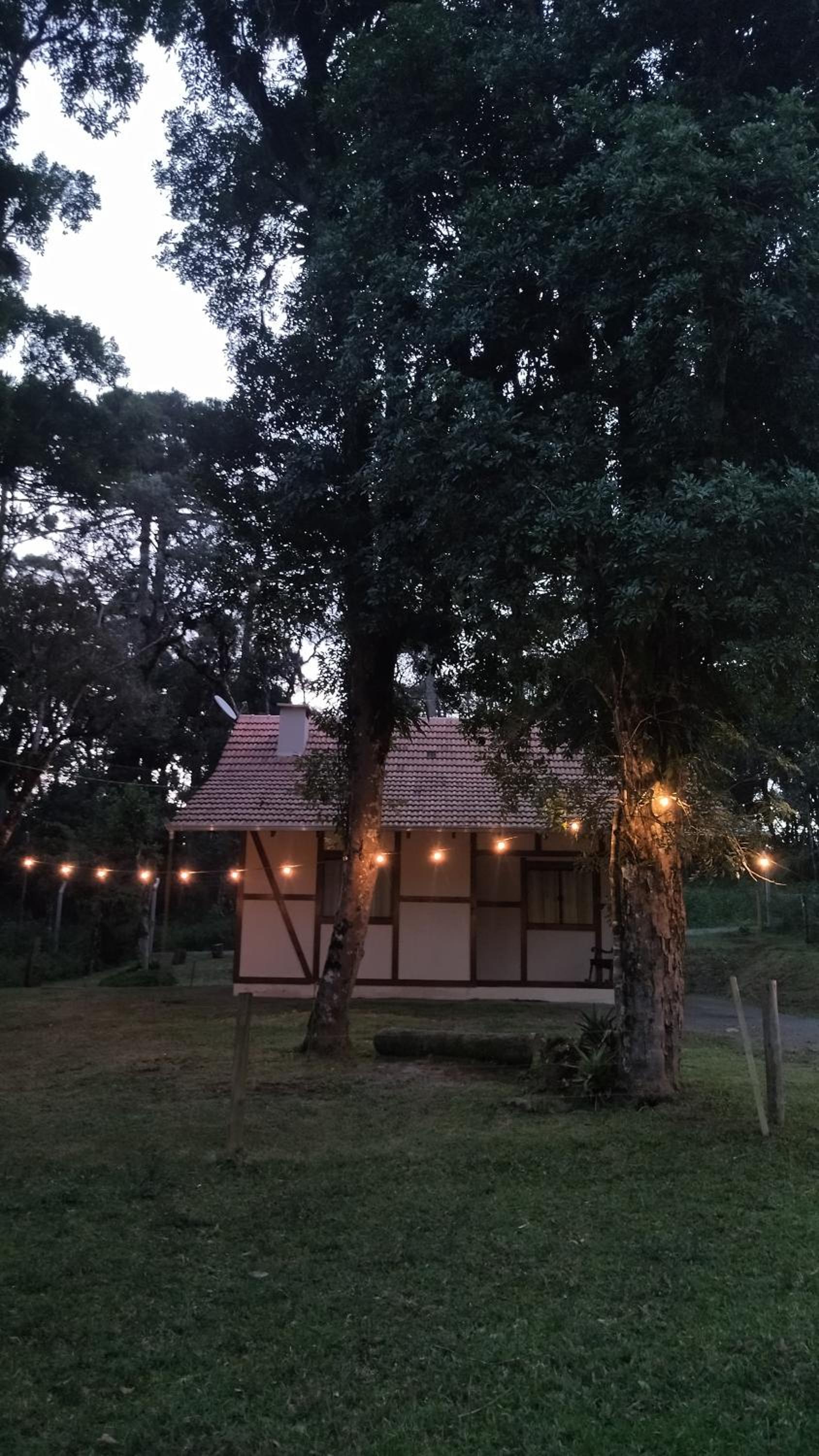 Casa Goethe - Bio Cult