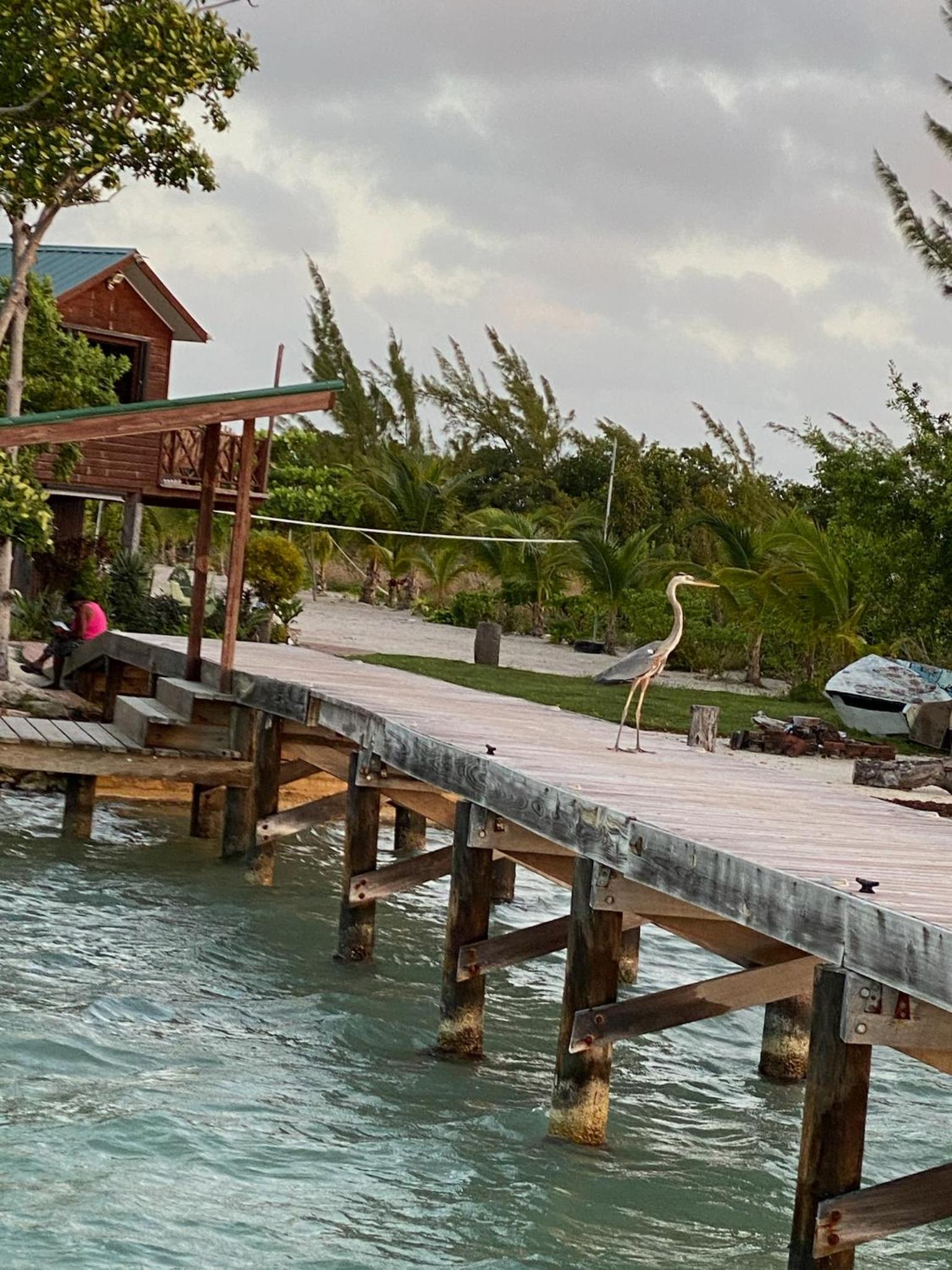 Therapy Cabins - Belize Island Experience