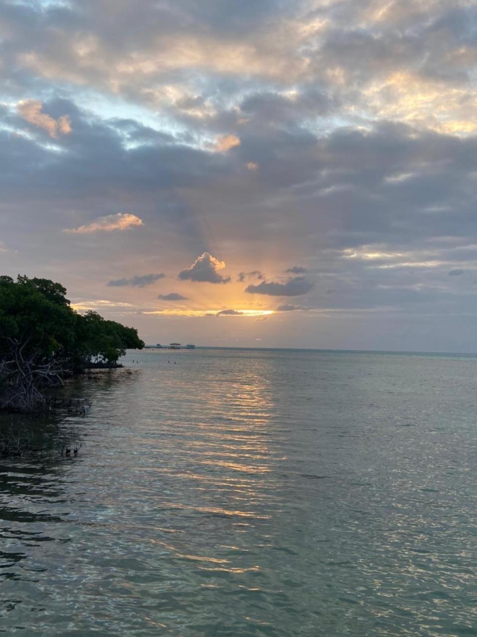 Therapy Cabins - Belize Island Experience