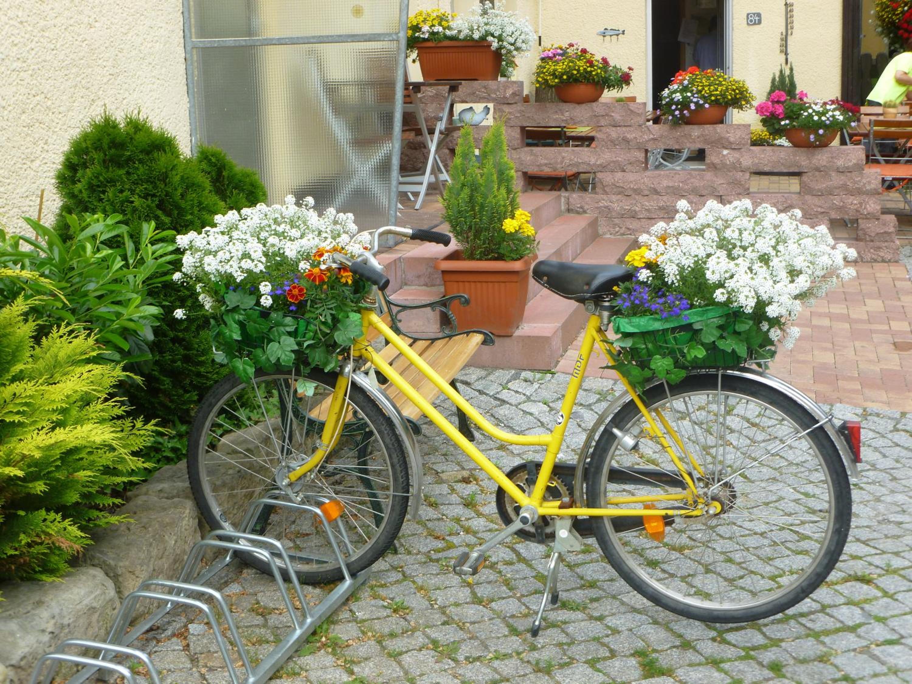 Gasthaus Forelle