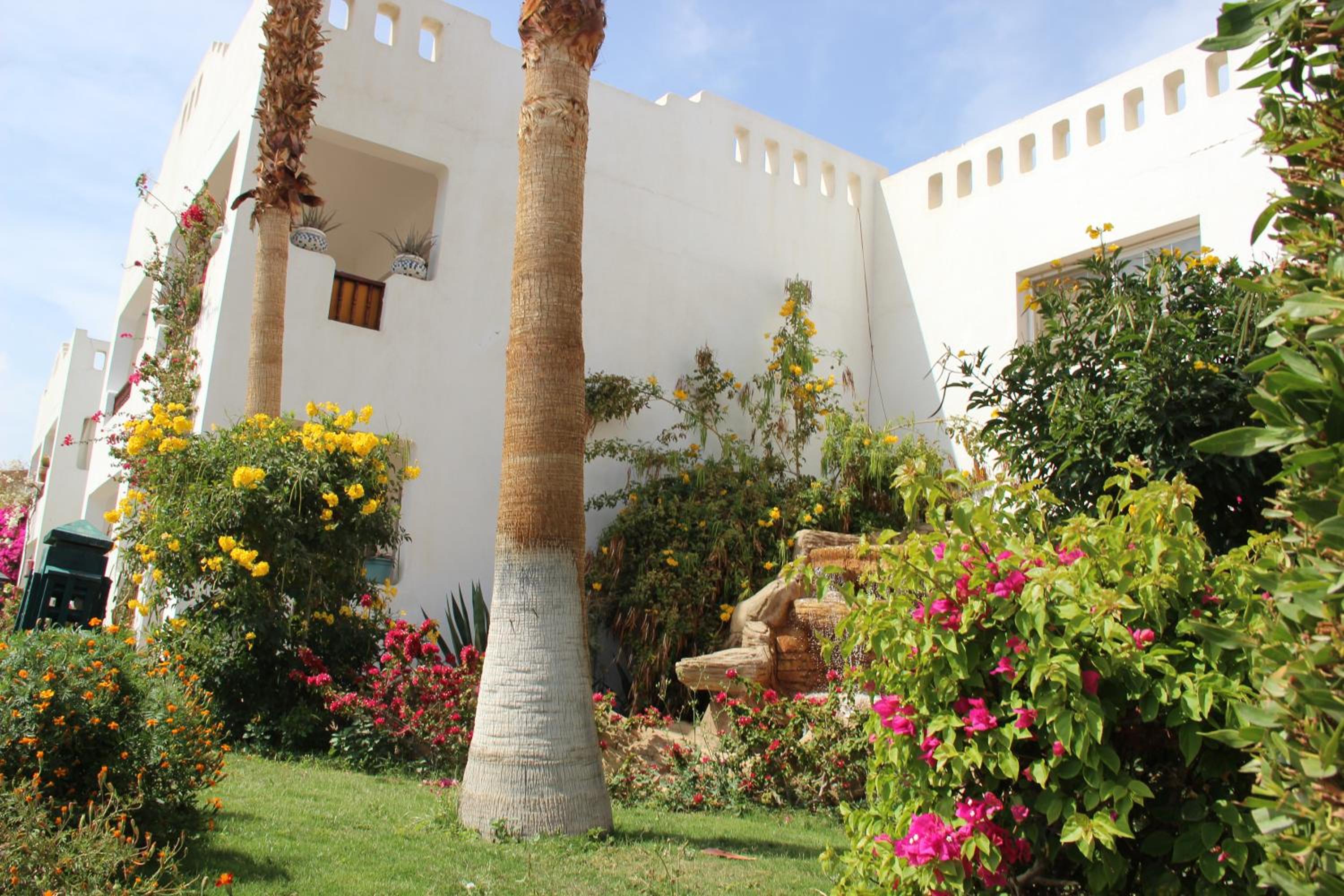 Delta Sharm Best Vacation