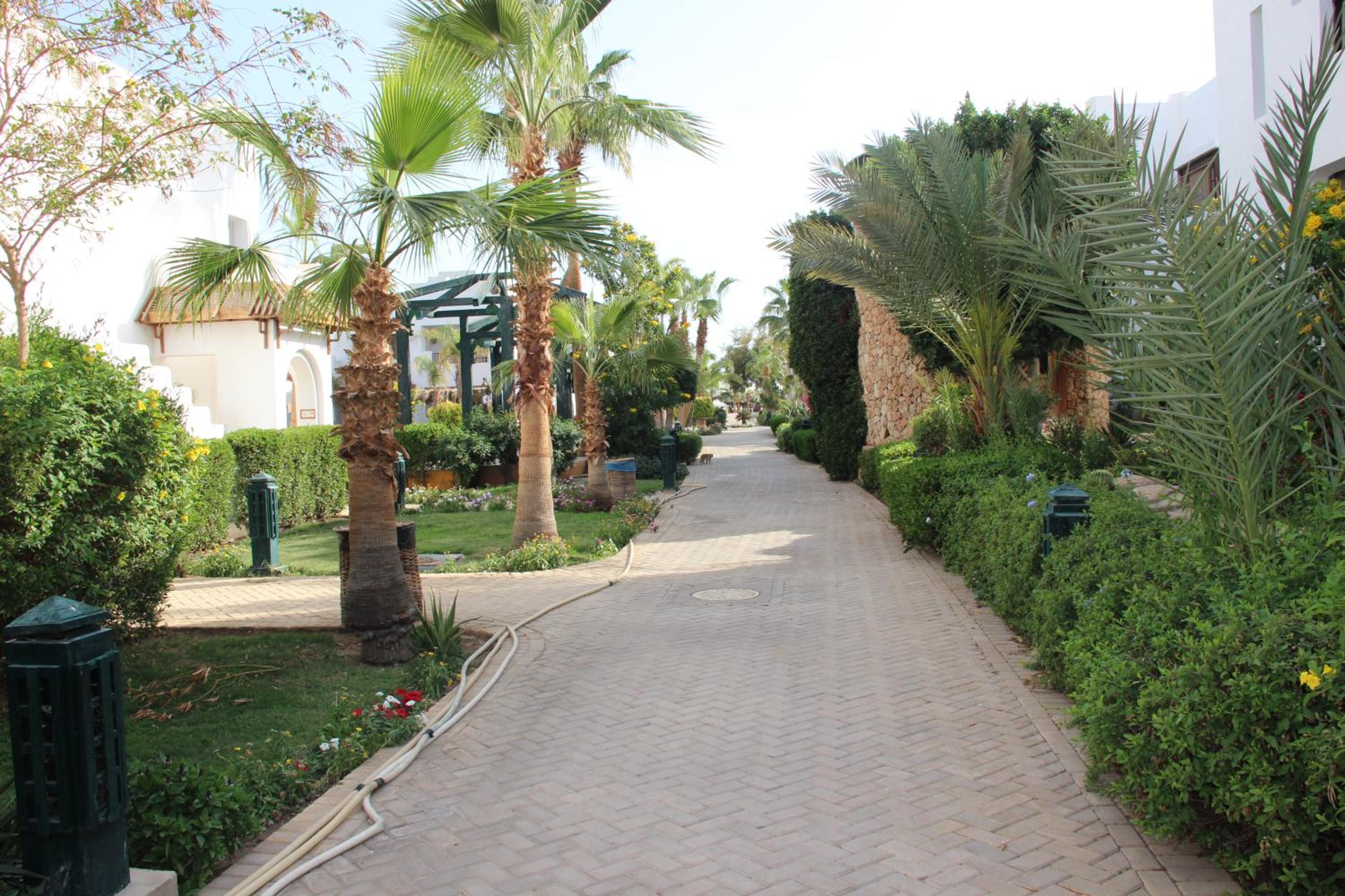 Delta Sharm Best Vacation