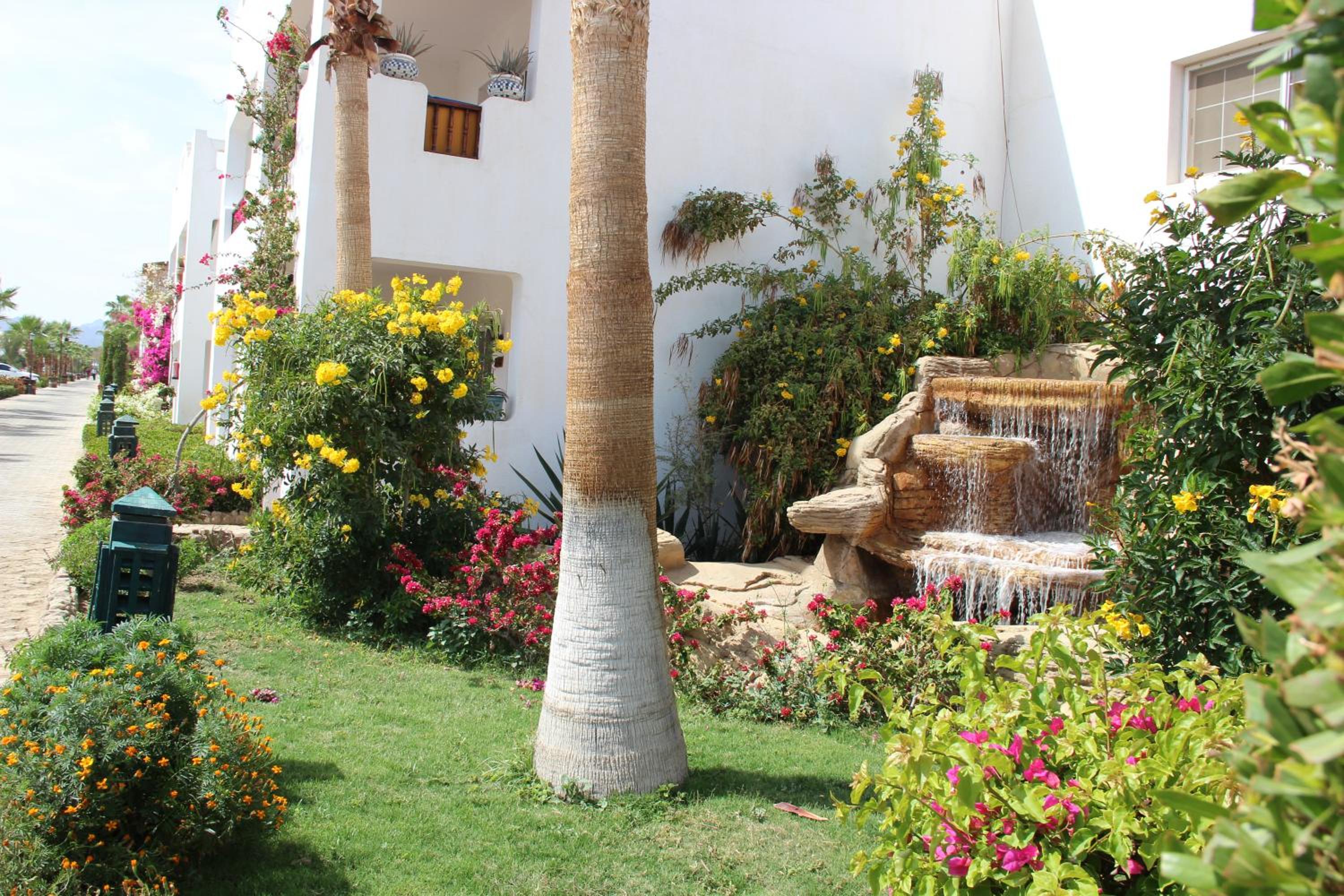 Delta Sharm Best Vacation