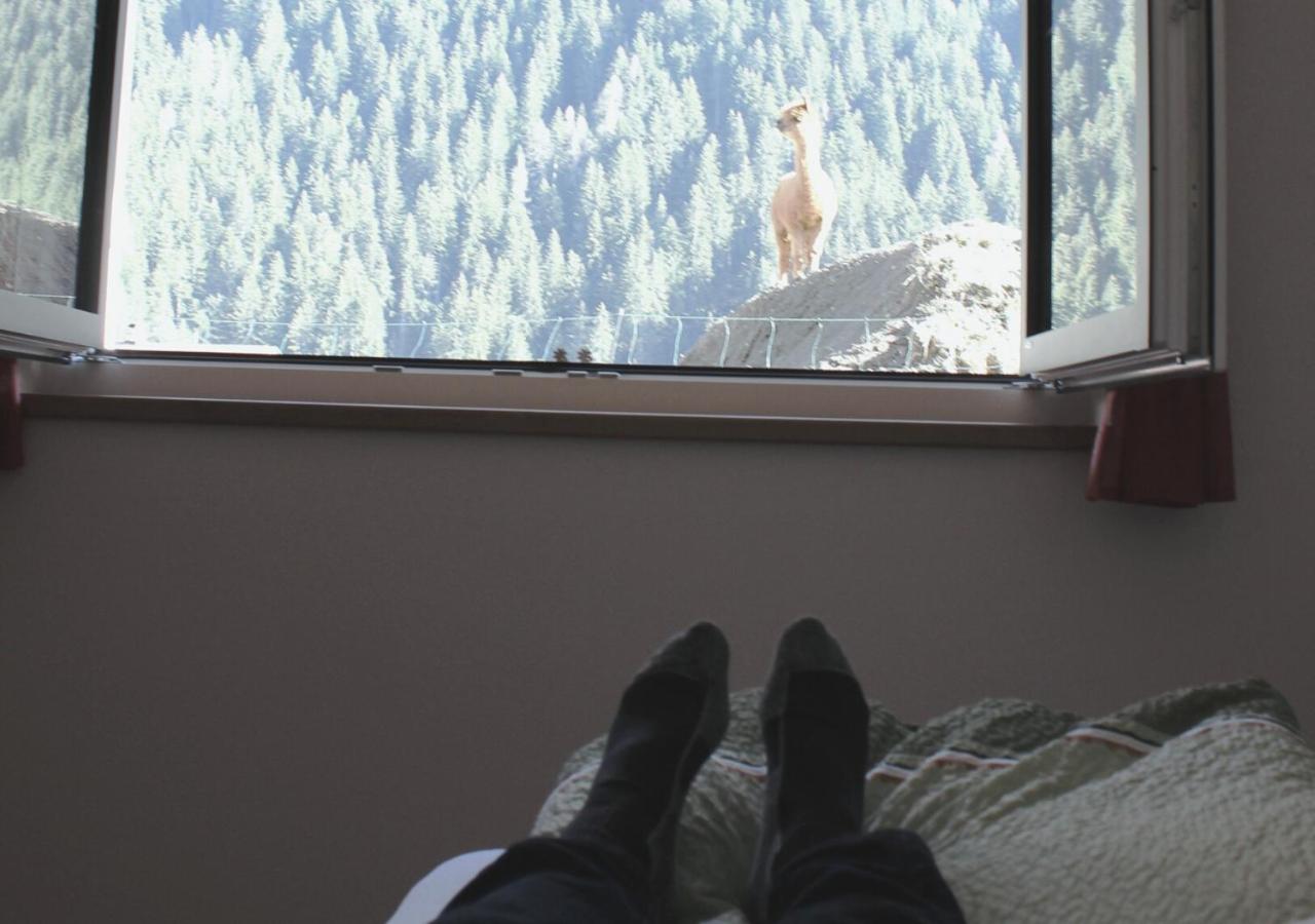 Apartment VIERSTERNE
