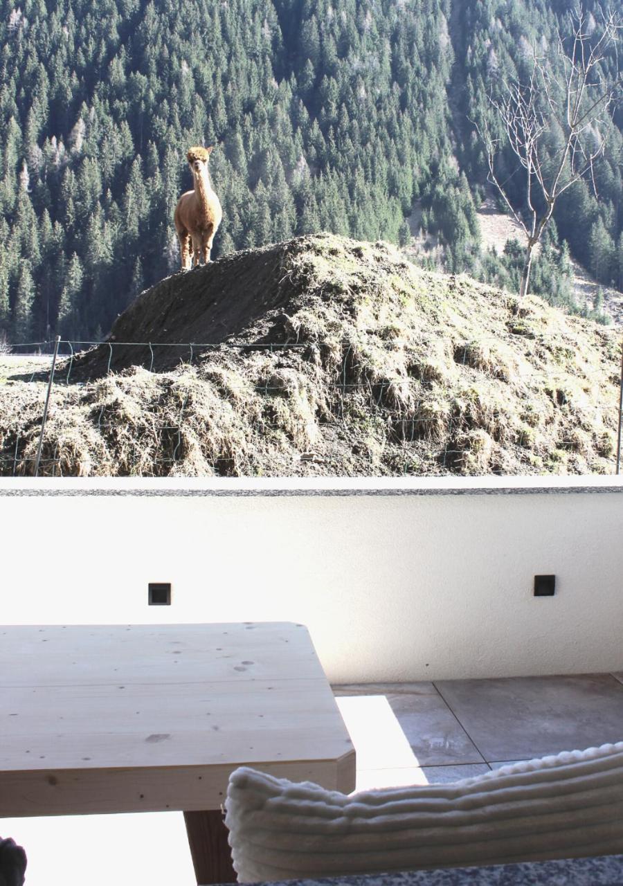 Apartment VIERSTERNE
