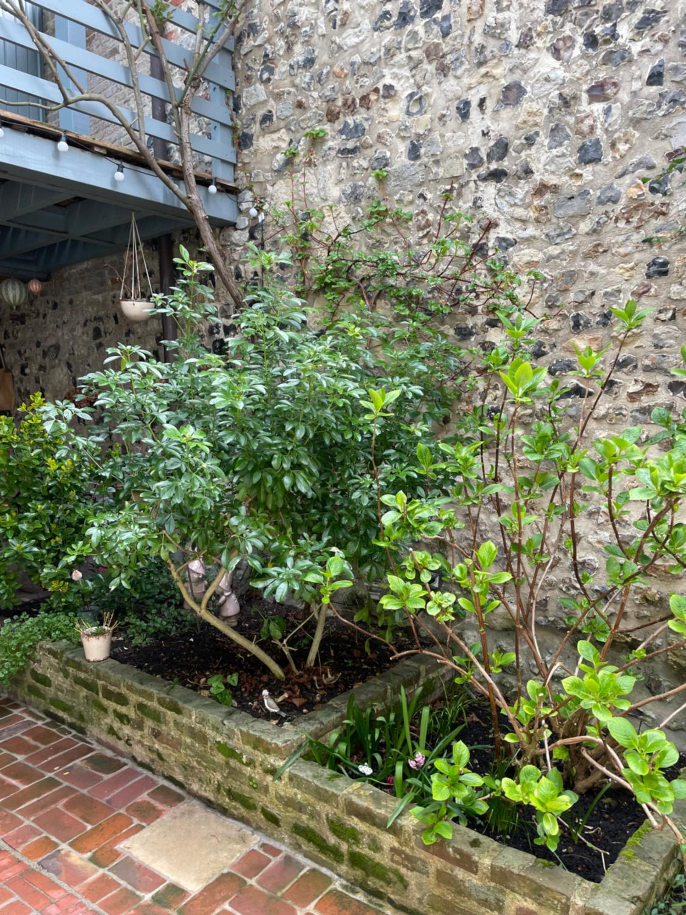 Chambres chez l'habitant Capucine, photo 76