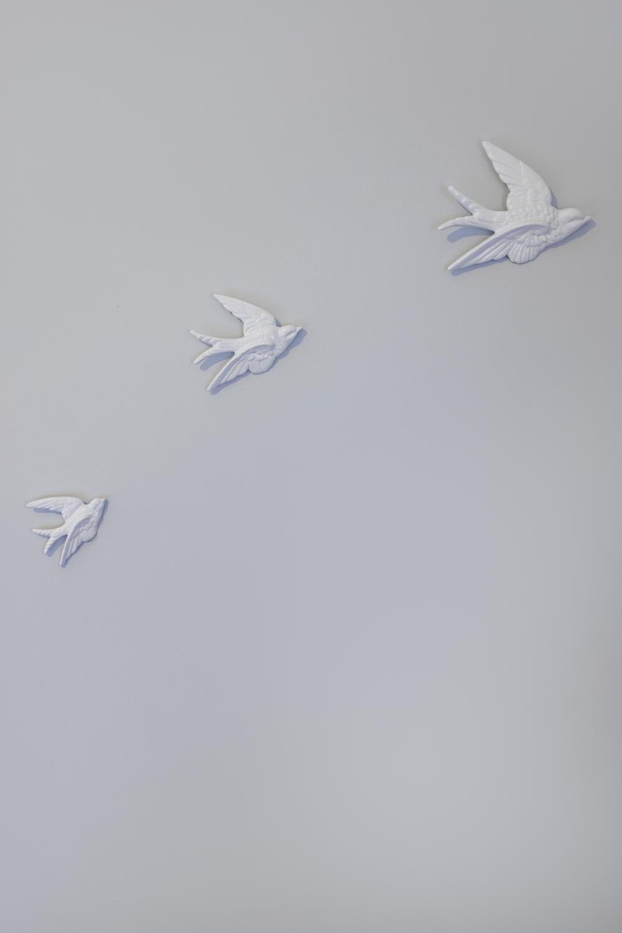 Photo 50