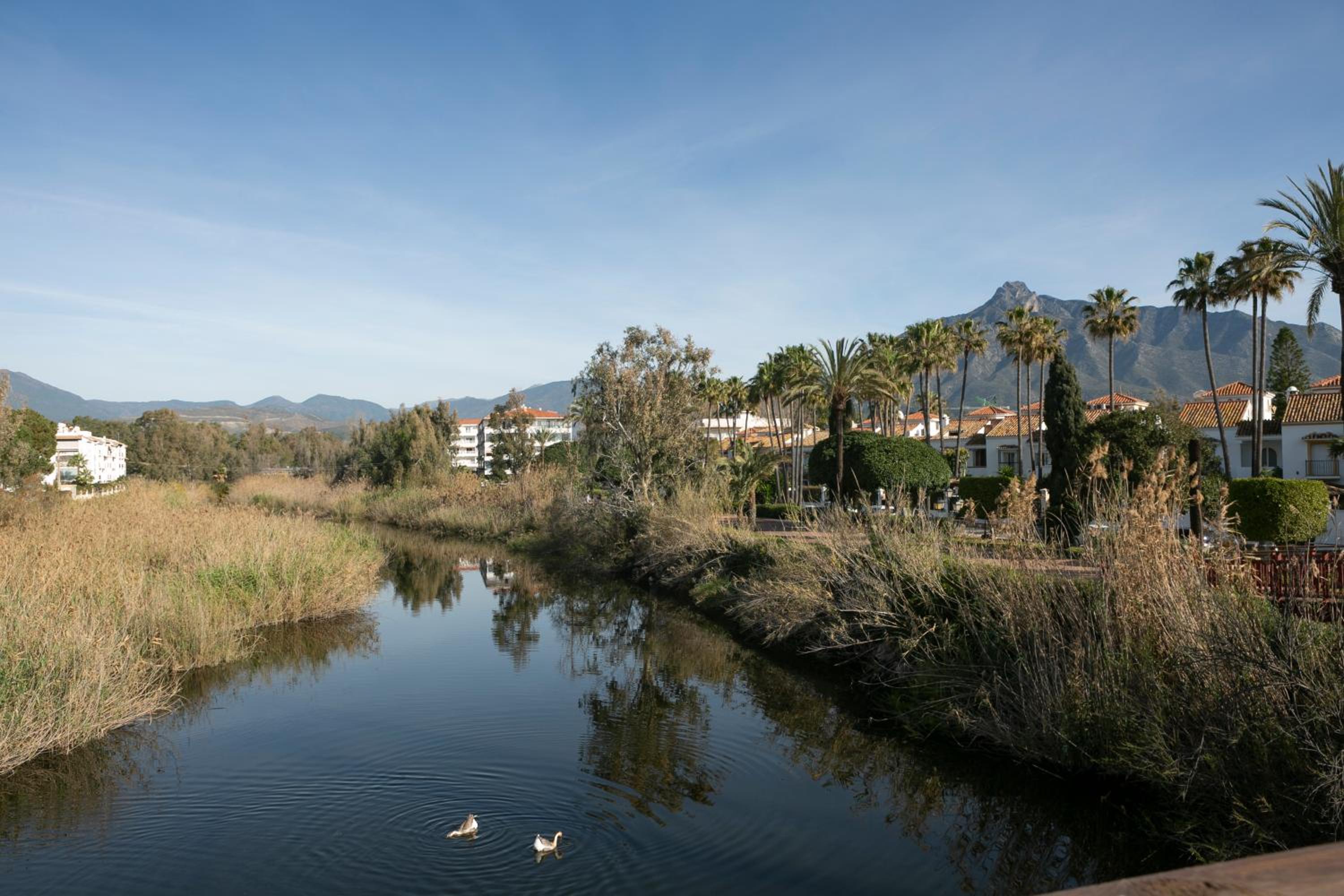 Apartamentos Martalia Marbella Banús
