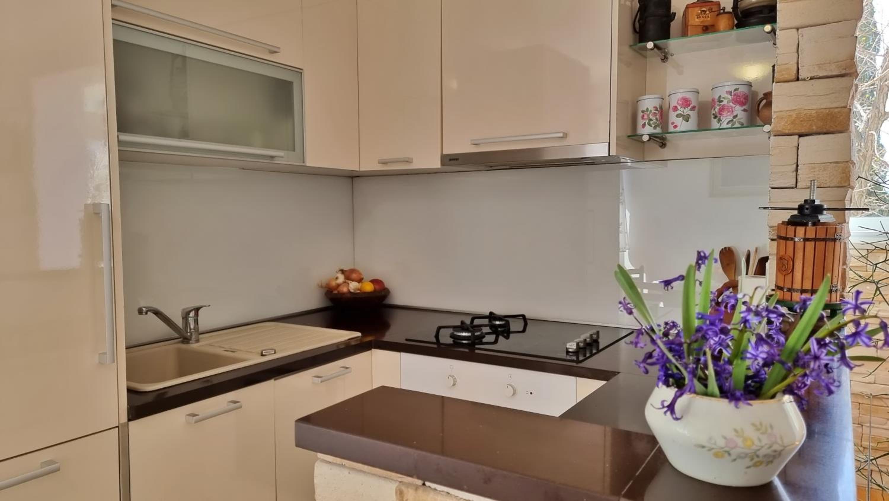 Apartment Tica