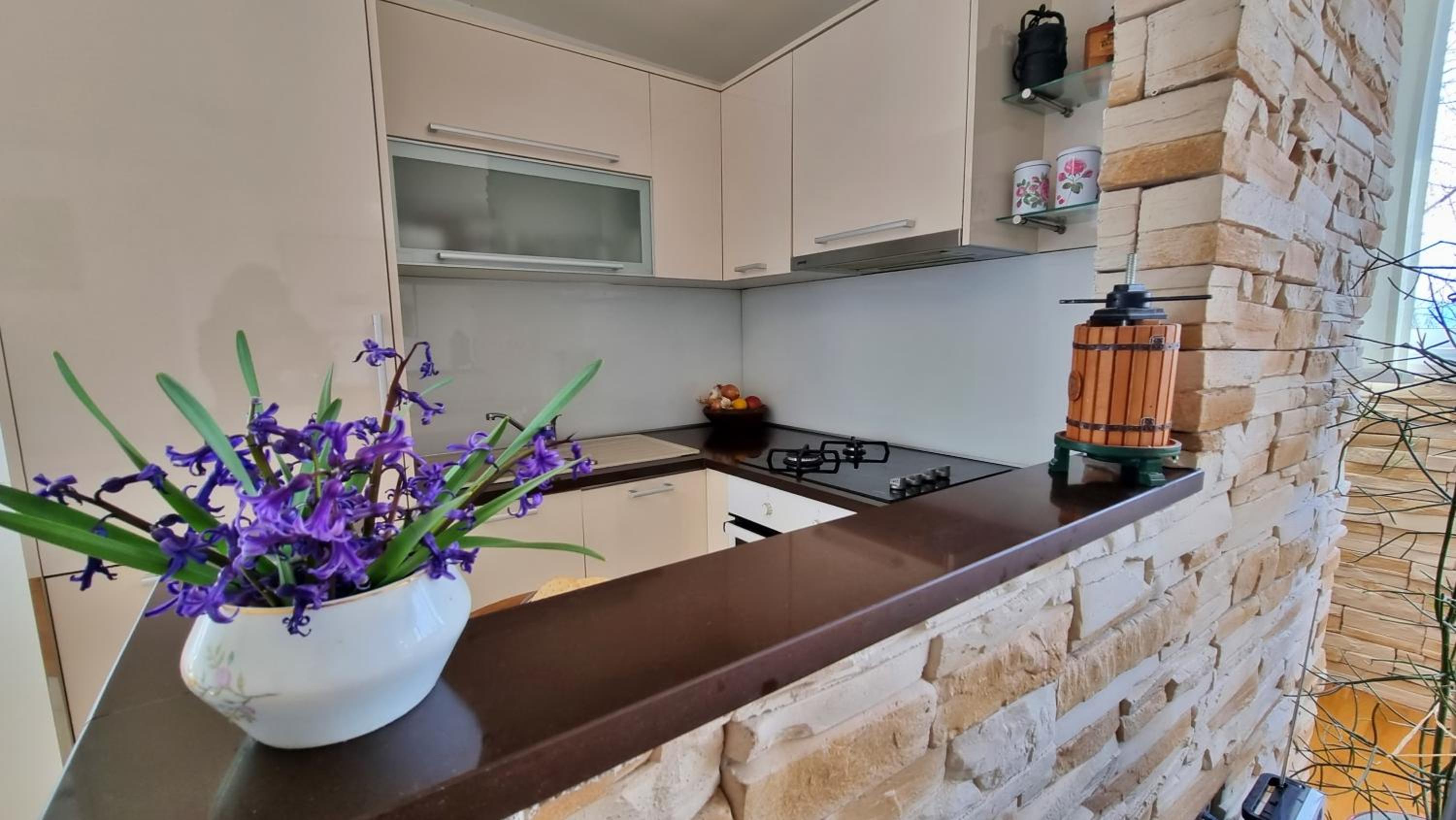 Apartment Tica