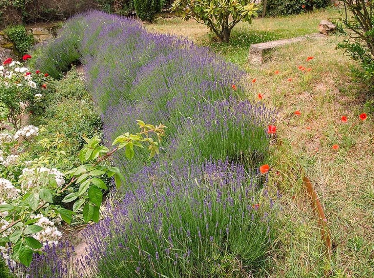Genussvolle Auszeit beim Winzer-Apartment Biengarten