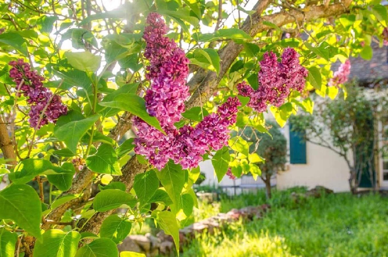 Genussvolle Auszeit beim Winzer-Apartment Biengarten