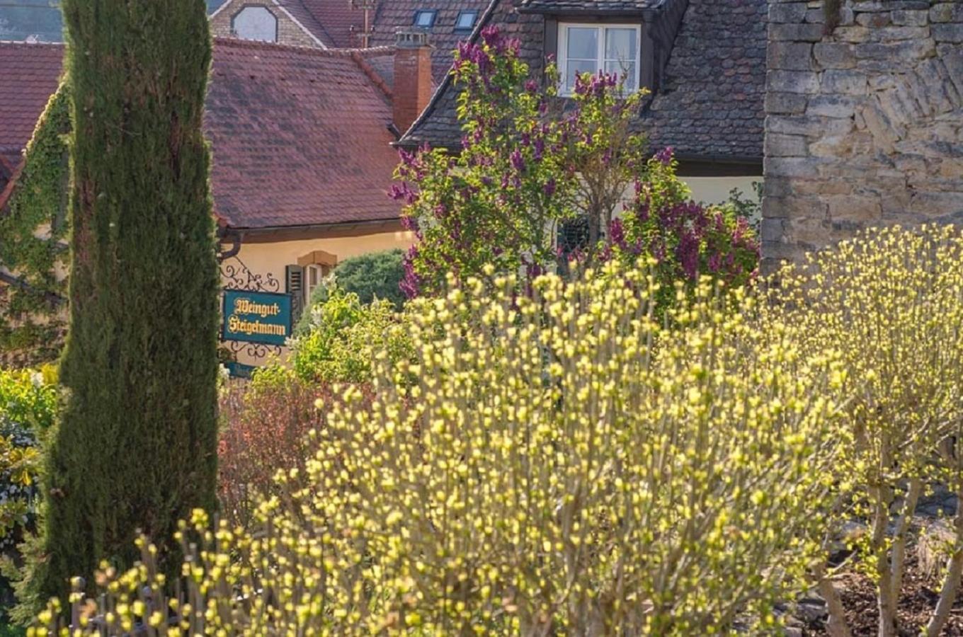 Genussvolle Auszeit beim Winzer-Apartment Biengarten
