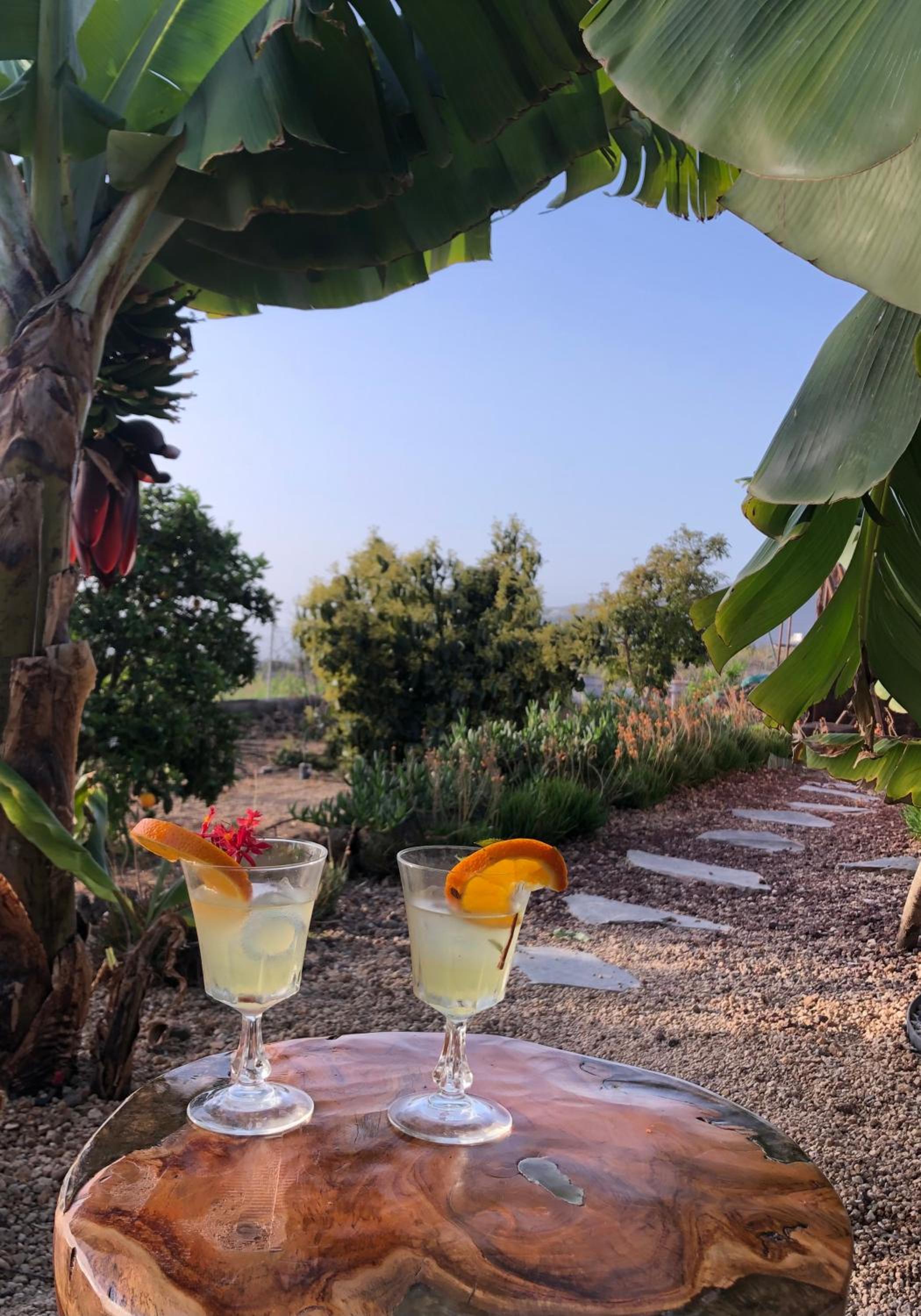 Afrikan Krisant Tenerife, Casa Rural Ecologica