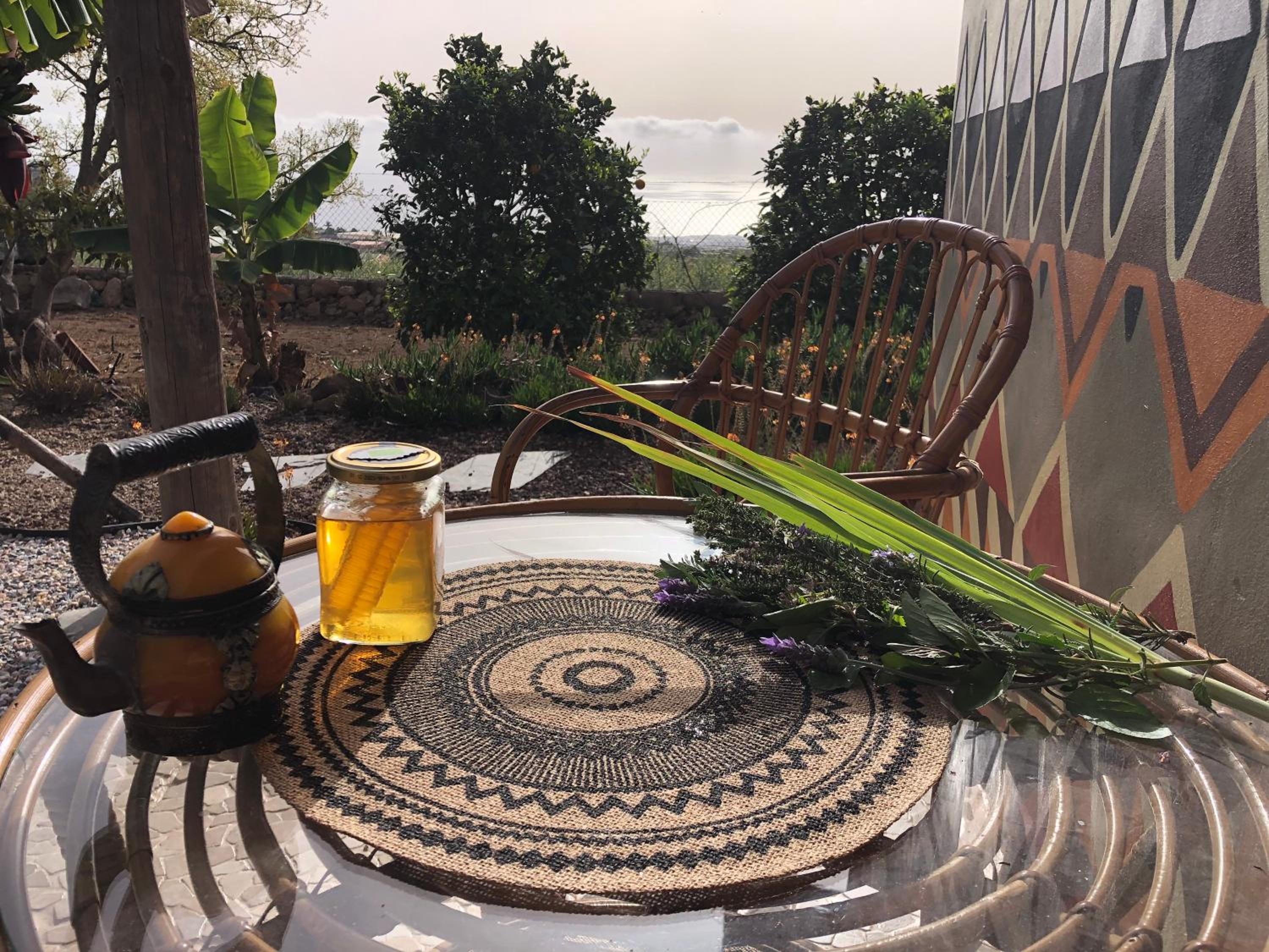 Afrikan Krisant Tenerife, Casa Rural Ecologica