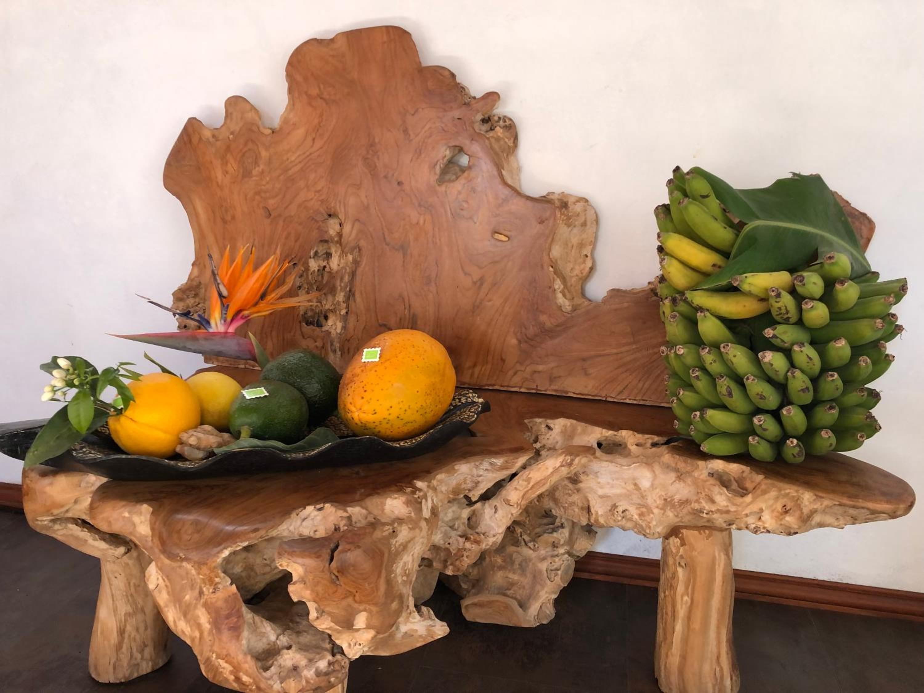 Afrikan Krisant Tenerife, Casa Rural Ecologica