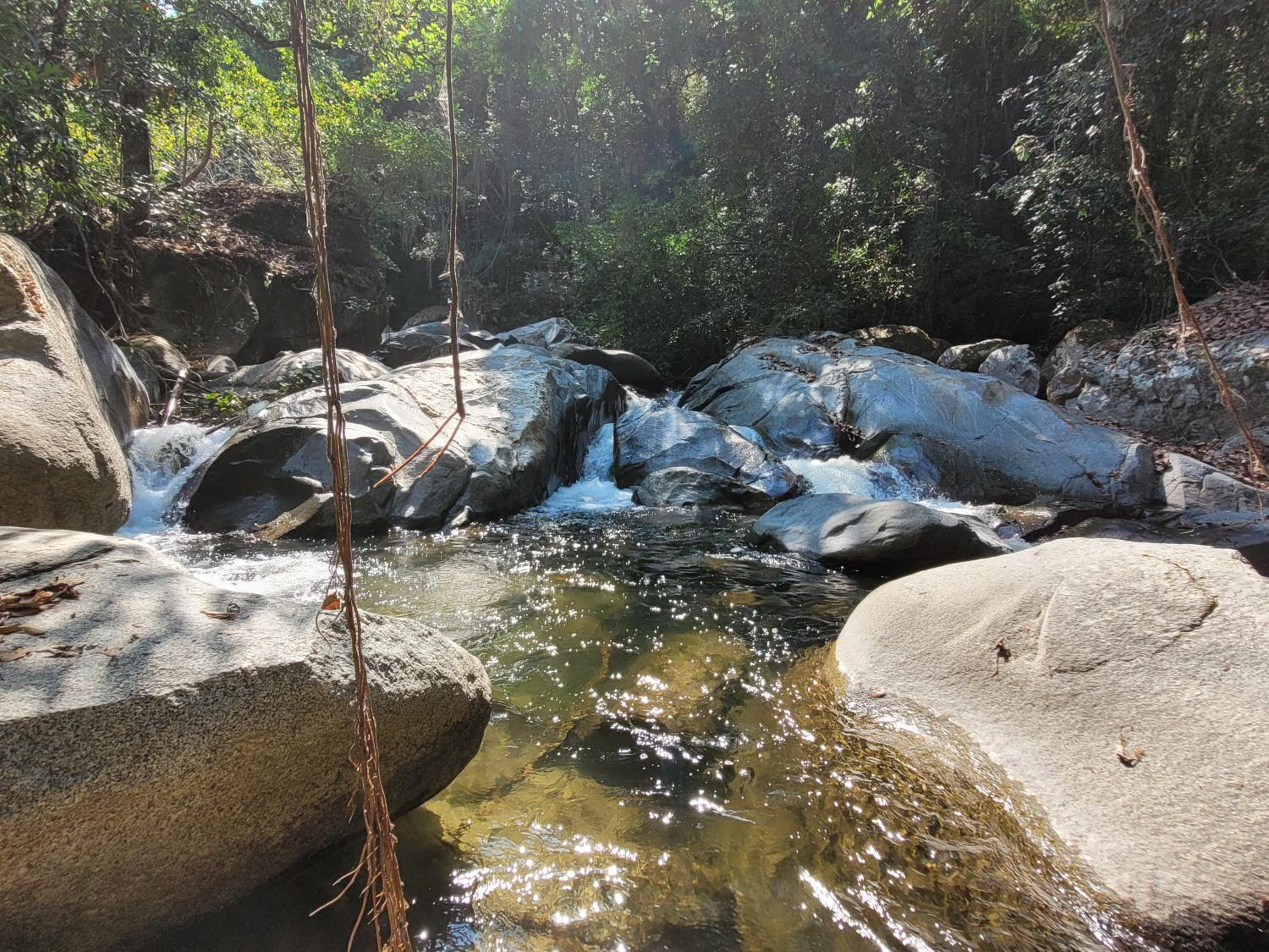 Sierra Jungla