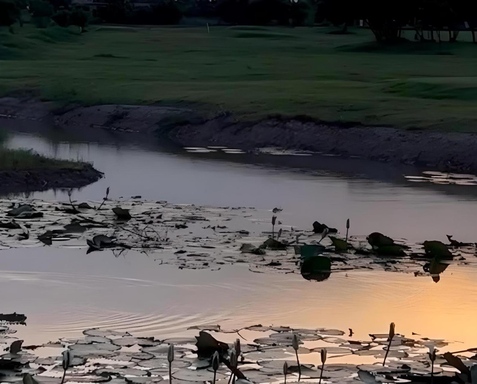 Serene, luxury golf resort