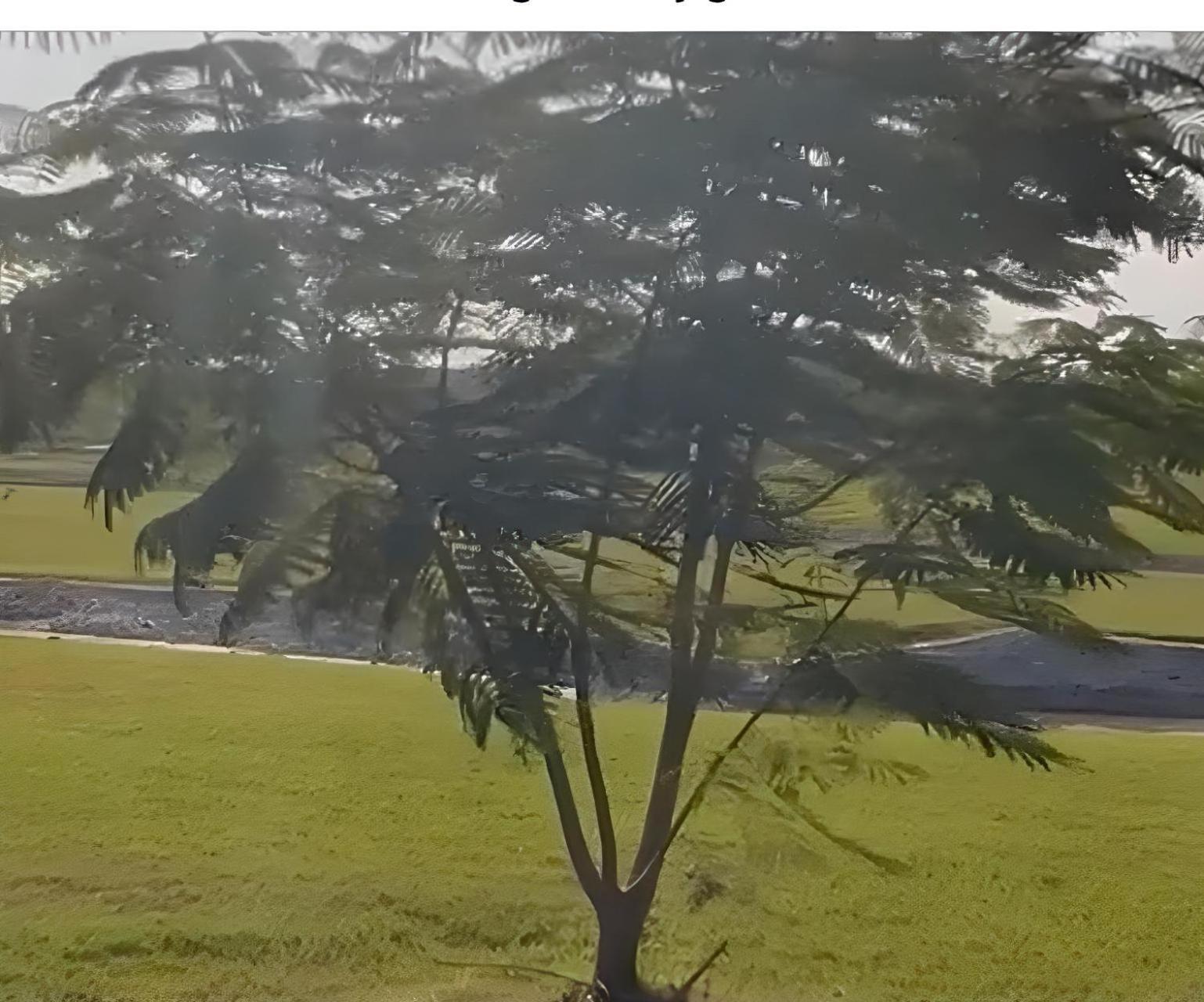 Serene, luxury golf resort