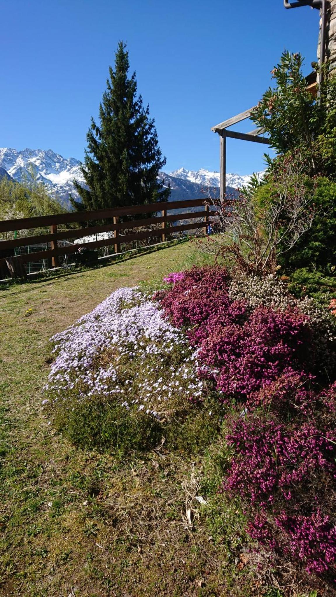 Photo 29