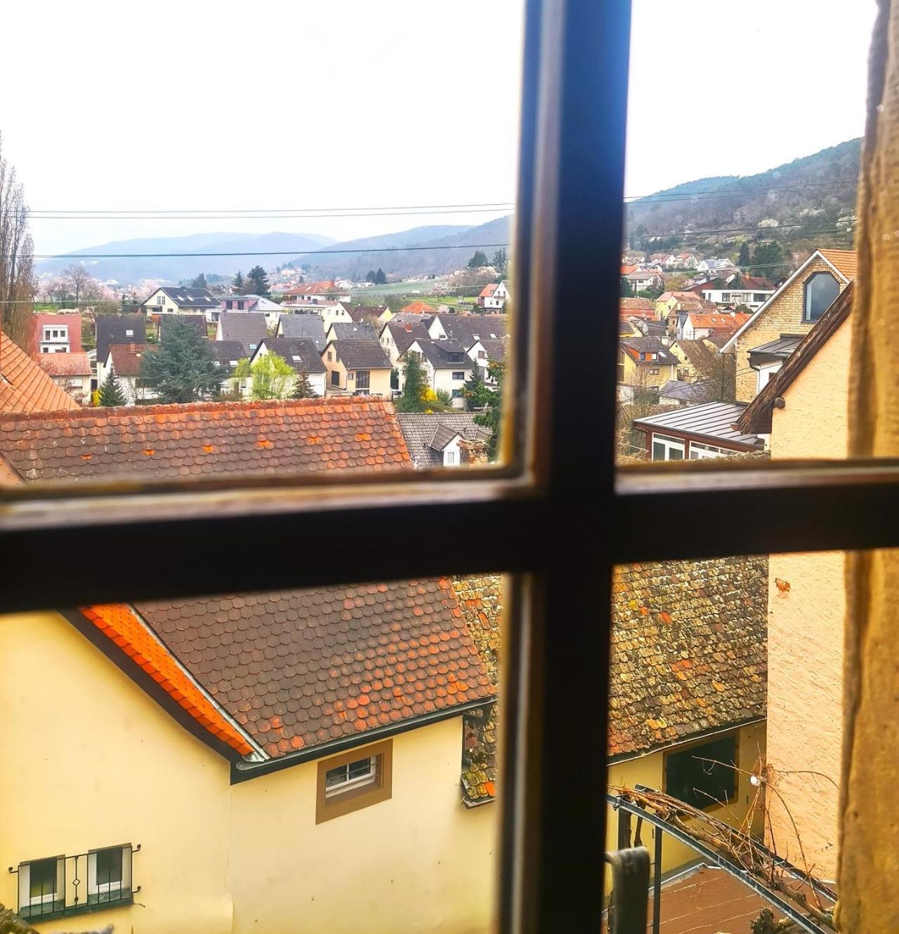 Genussvolle Auszeit beim Winzer- Ferienwohnung Meerspinne