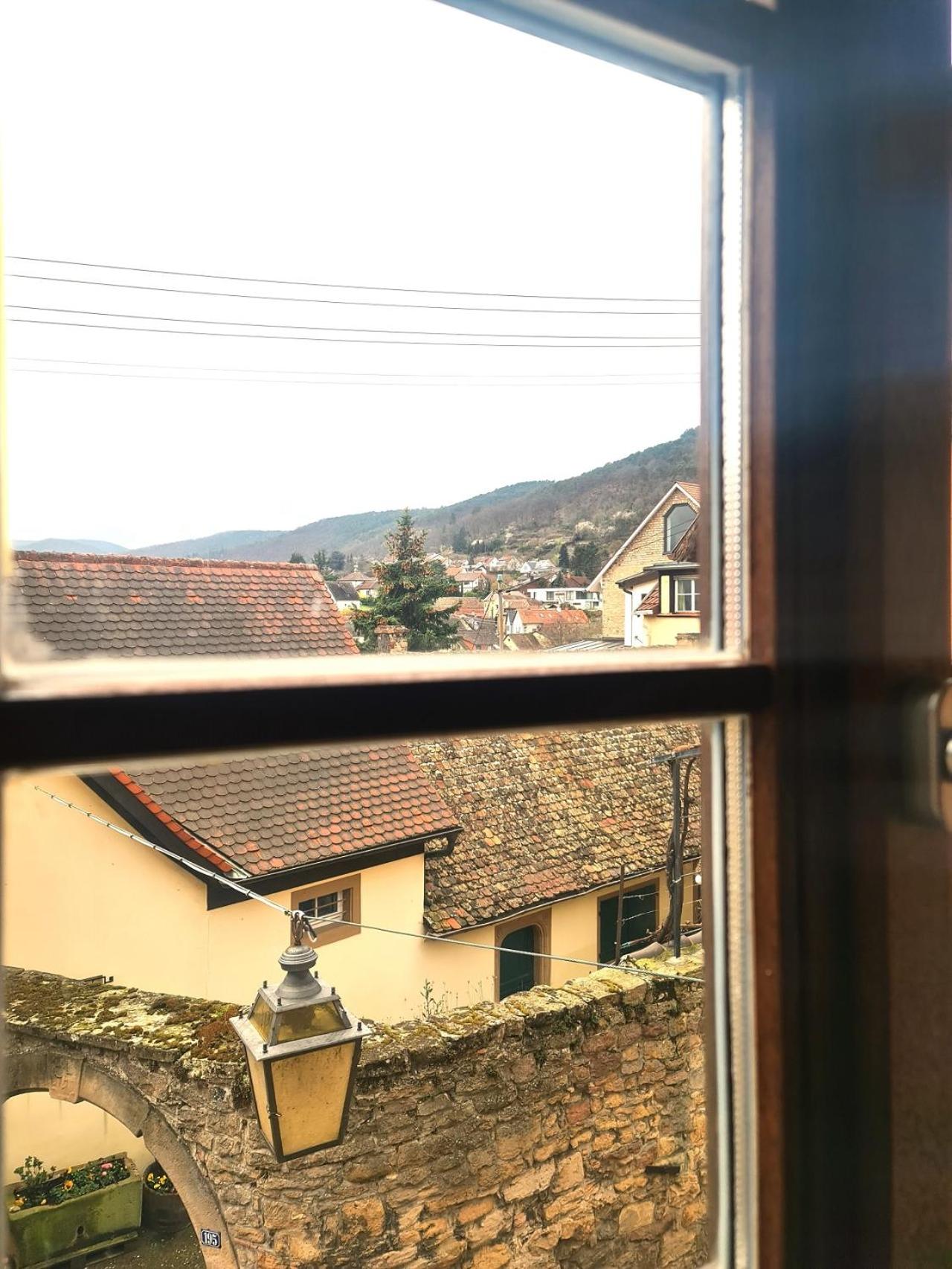 Genussvolle Auszeit beim Winzer- Ferienwohnung Meerspinne